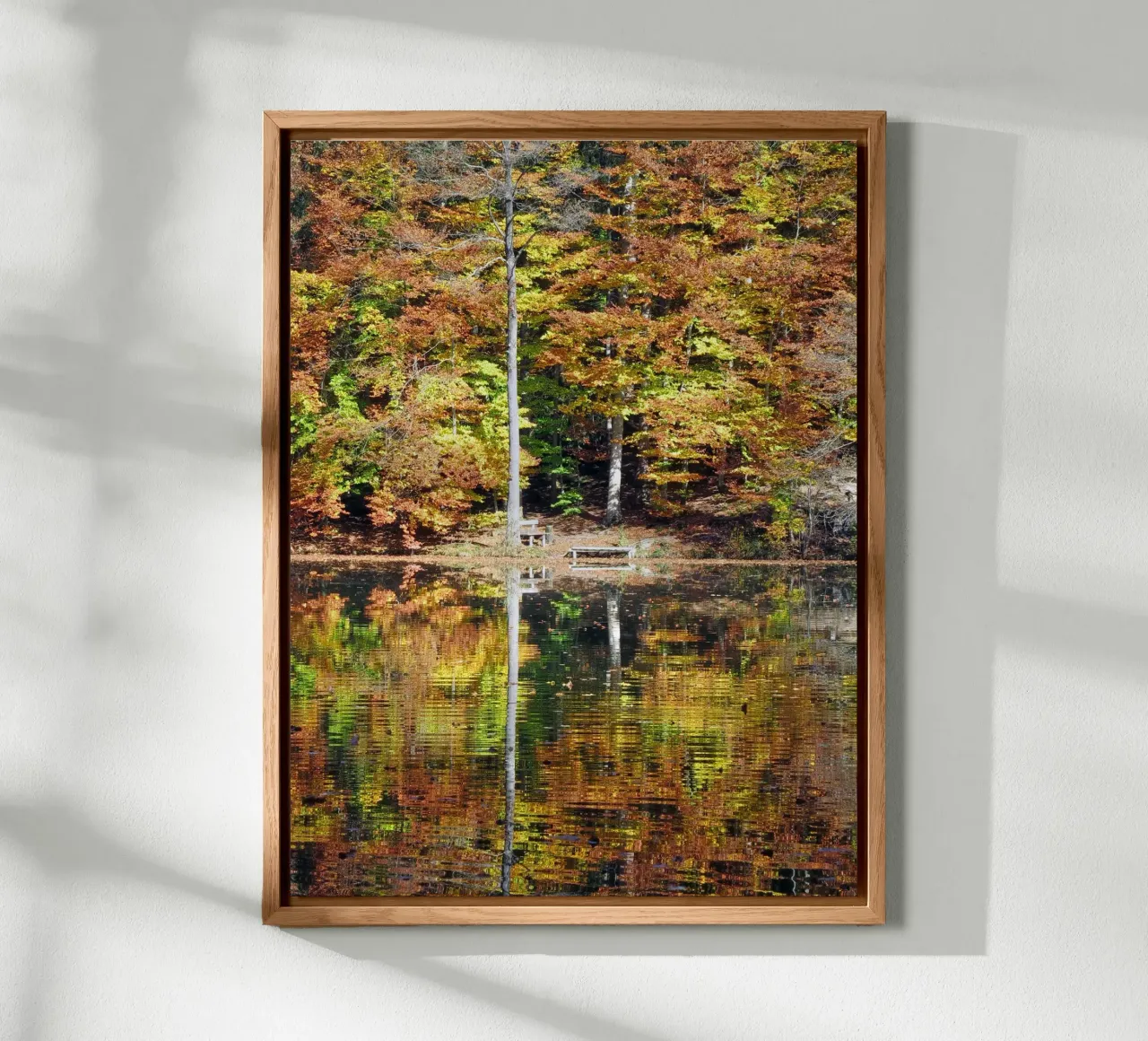 Momento d'autunno alluminio dibond da Kreativernetzt