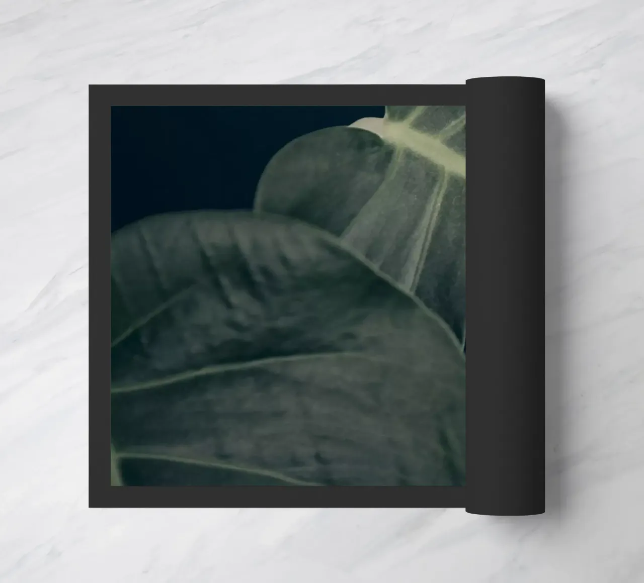 Moody Monstera 3 zerbino da Klaus with K