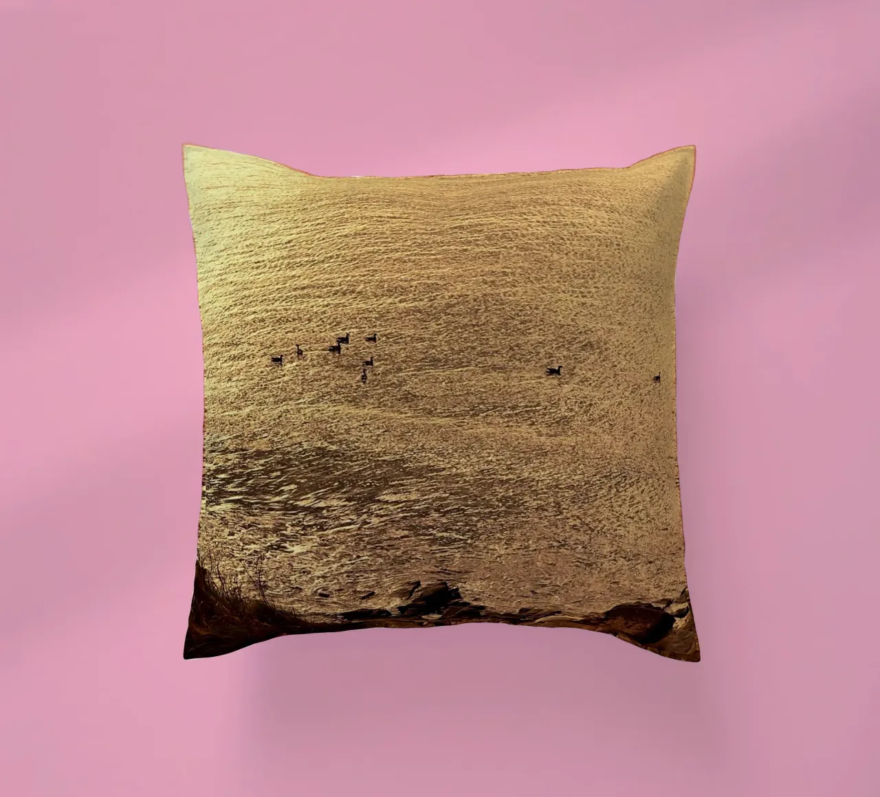 FAA266 PAESAGGIO OCEANO. LUCE DORATA CON GABBIANI. cuscino da Thierry vobmann photography