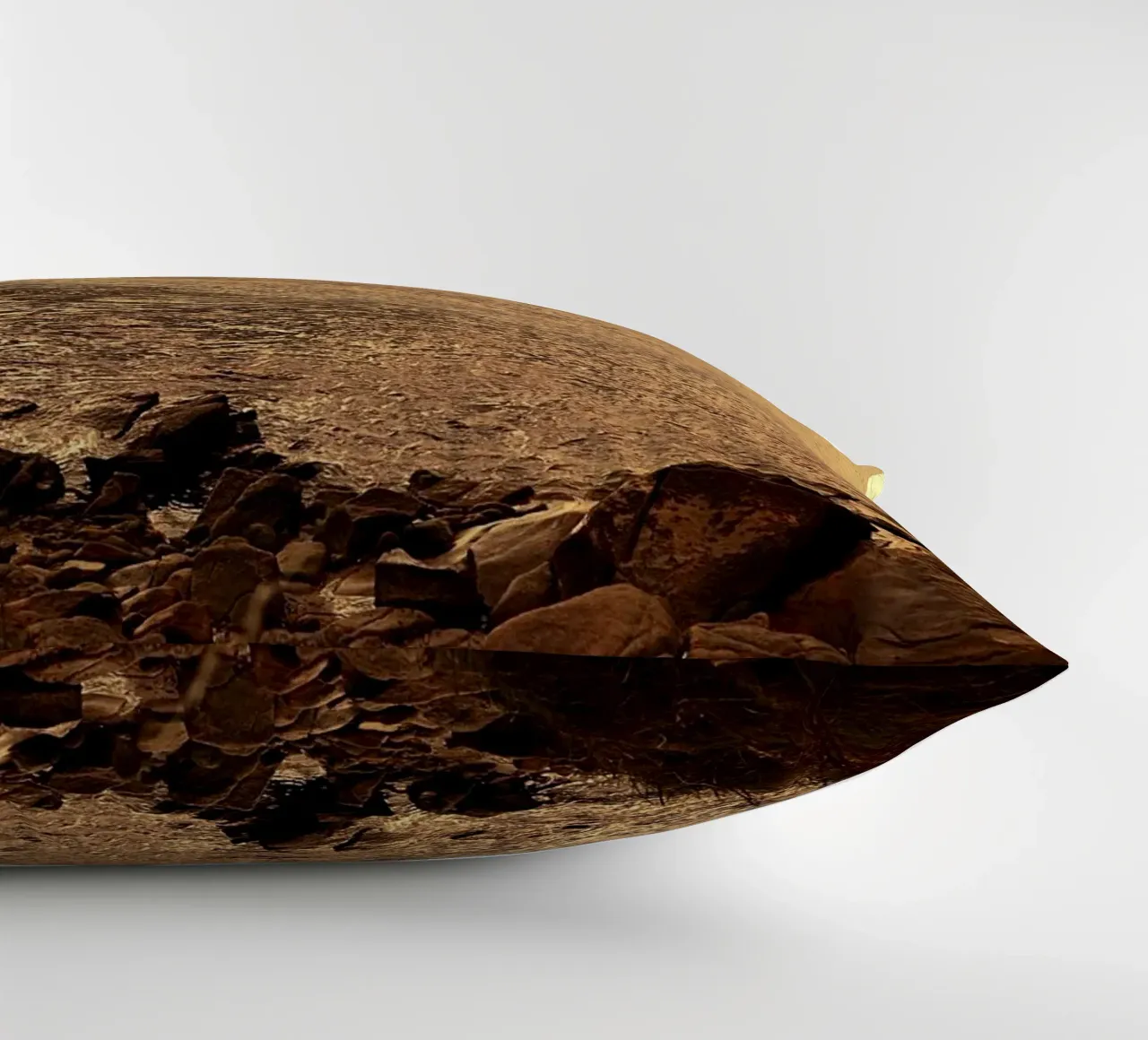 FAA266 PAESAGGIO OCEANO. LUCE DORATA CON GABBIANI. cuscino da Thierry vobmann photography