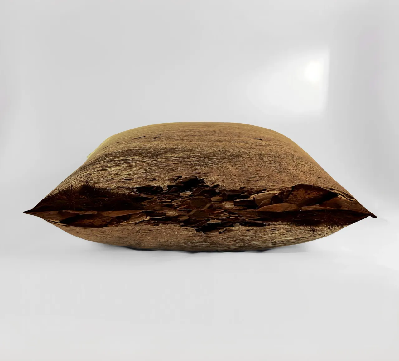 FAA266 PAESAGGIO OCEANO. LUCE DORATA CON GABBIANI. cuscino da Thierry vobmann photography