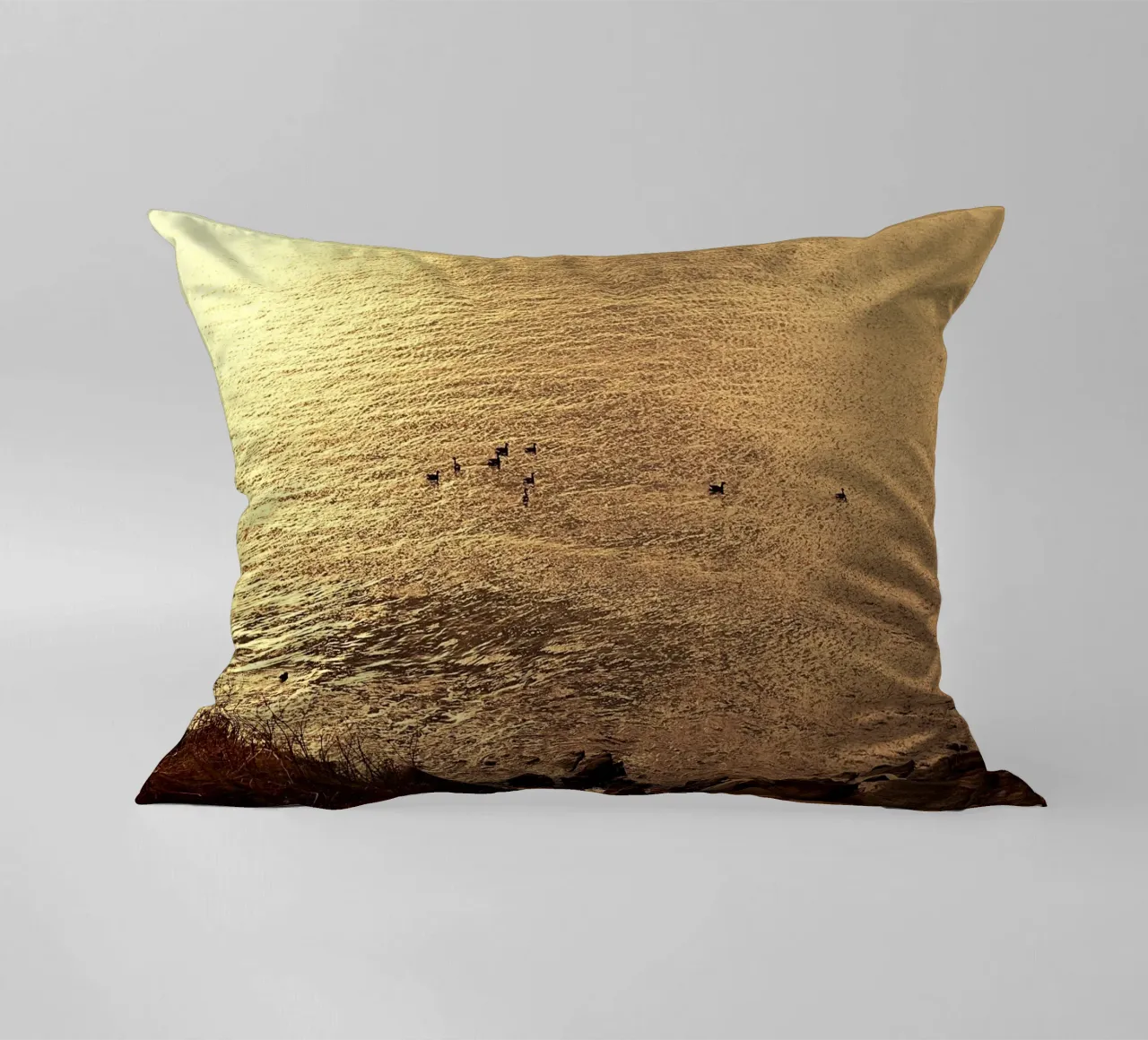 FAA266 PAESAGGIO OCEANO. LUCE DORATA CON GABBIANI. cuscino da Thierry vobmann photography