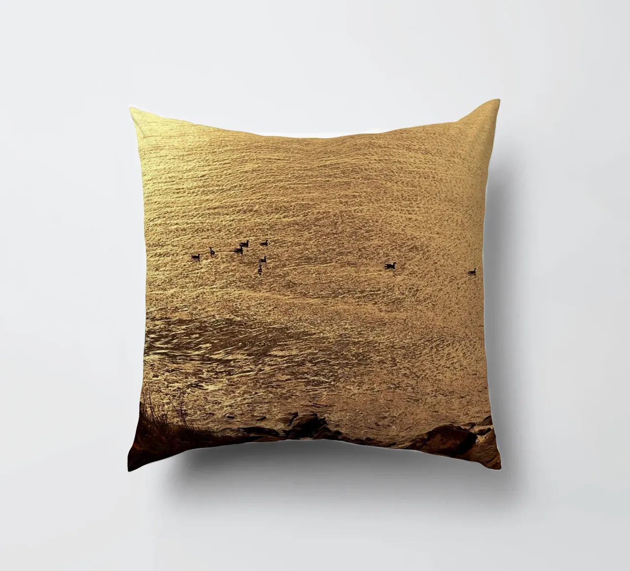 FAA266 PAESAGGIO OCEANO. LUCE DORATA CON GABBIANI. cuscino da Thierry vobmann photography