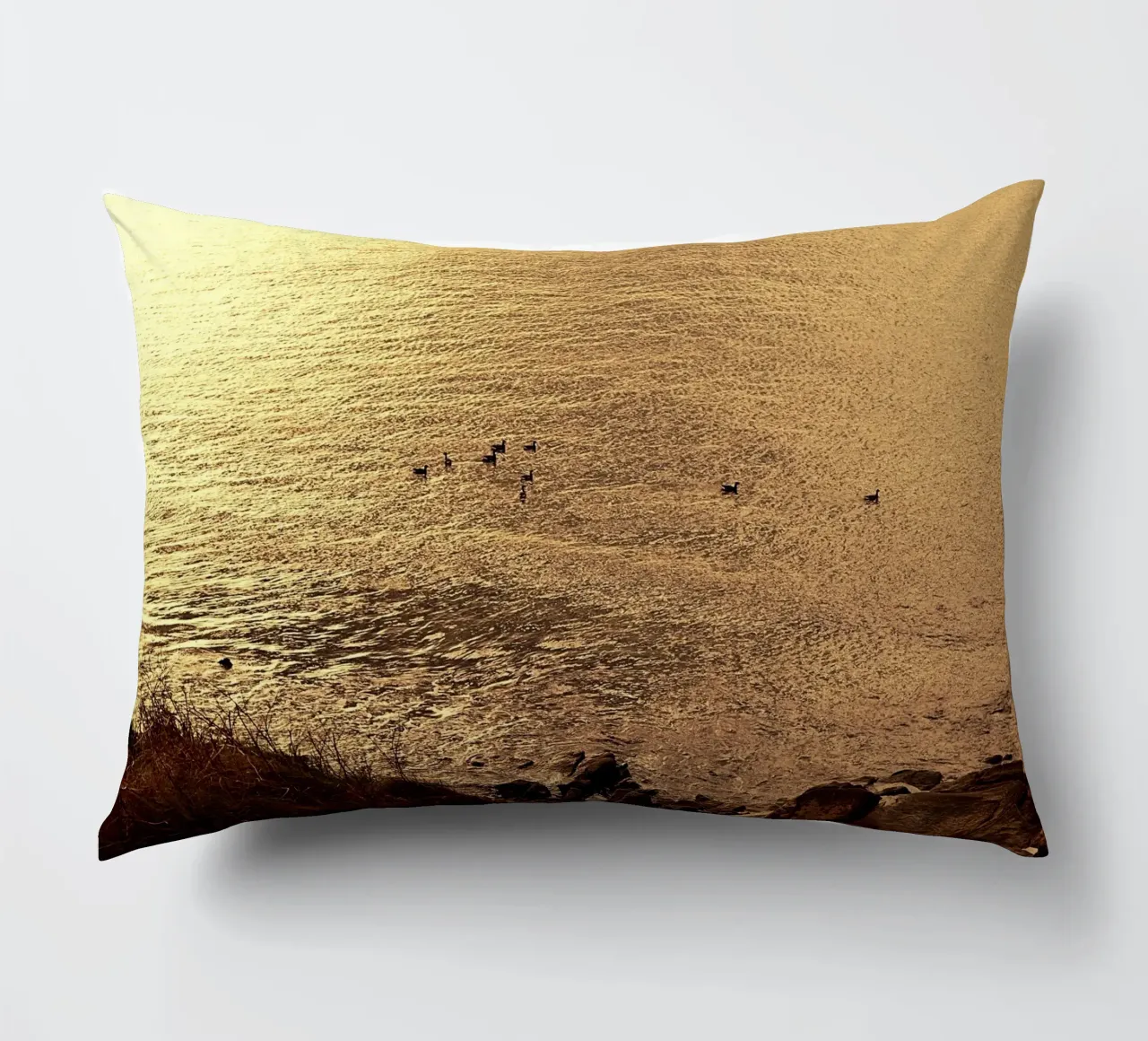 FAA266 PAESAGGIO OCEANO. LUCE DORATA CON GABBIANI. cuscino da Thierry vobmann photography