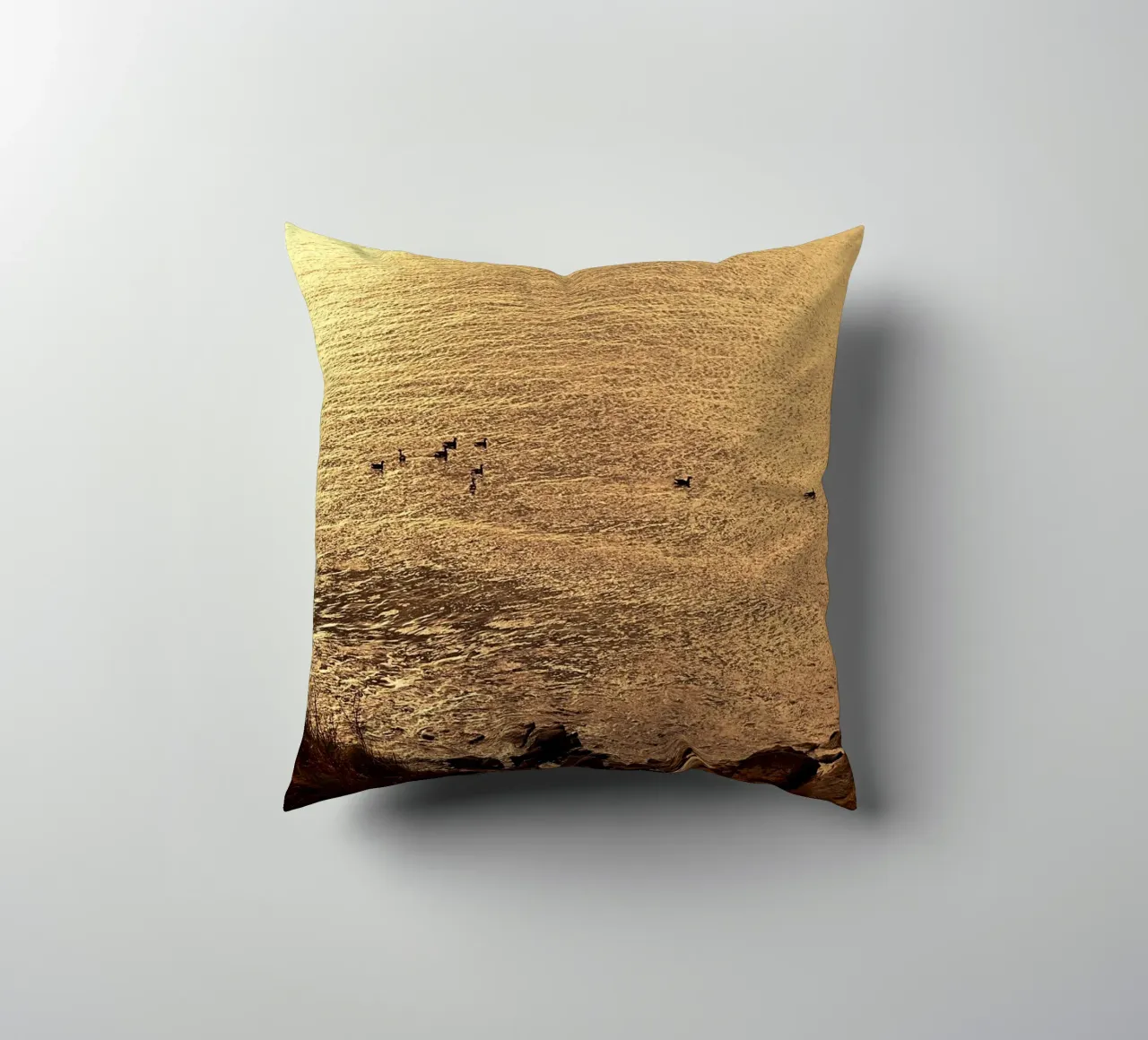 FAA266 PAESAGGIO OCEANO. LUCE DORATA CON GABBIANI. cuscino da Thierry vobmann photography