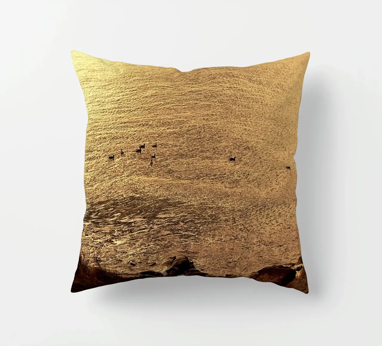 FAA266 PAESAGGIO OCEANO. LUCE DORATA CON GABBIANI. cuscino da Thierry vobmann photography