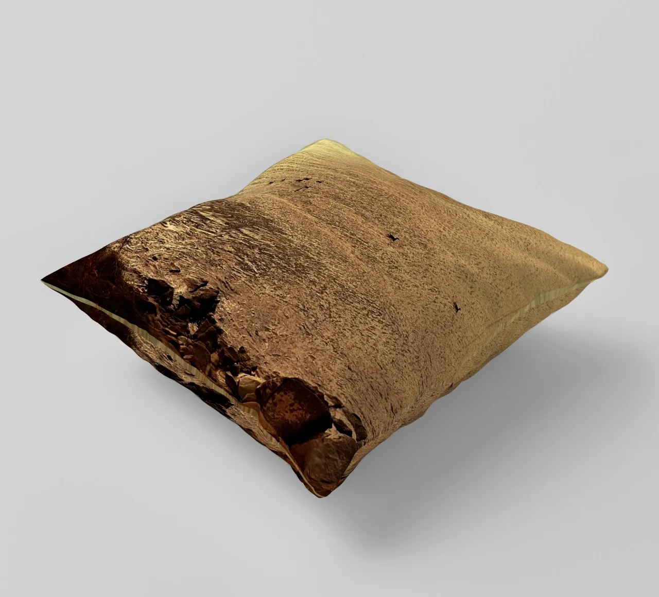 FAA266 PAESAGGIO OCEANO. LUCE DORATA CON GABBIANI. cuscino da Thierry vobmann photography