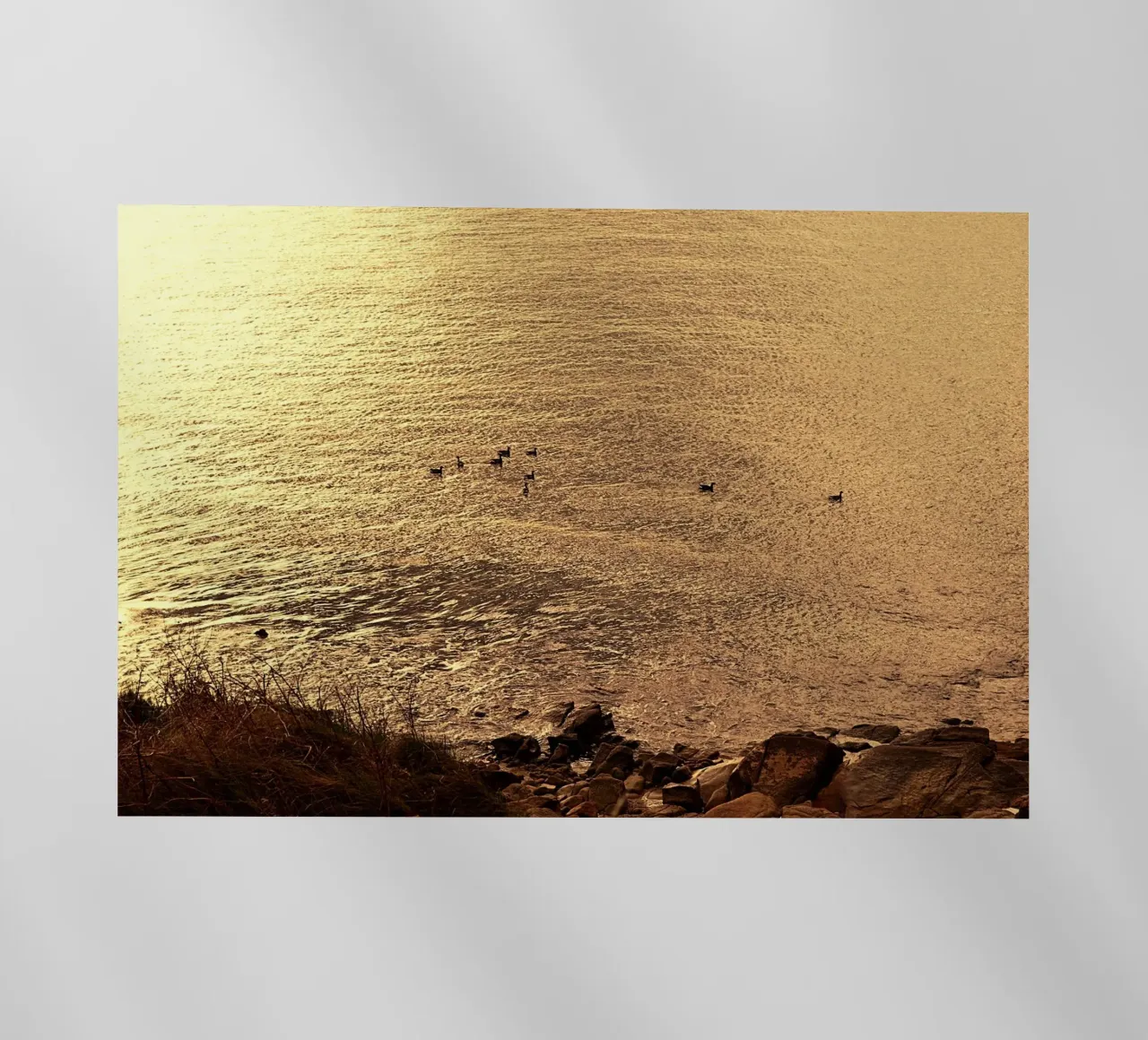 FAA266 LANDSCHAFT OZEAN. GOLDENES LICHT MIT SEEMÖWEN. Backlit Folie von Thierry vobmann photography