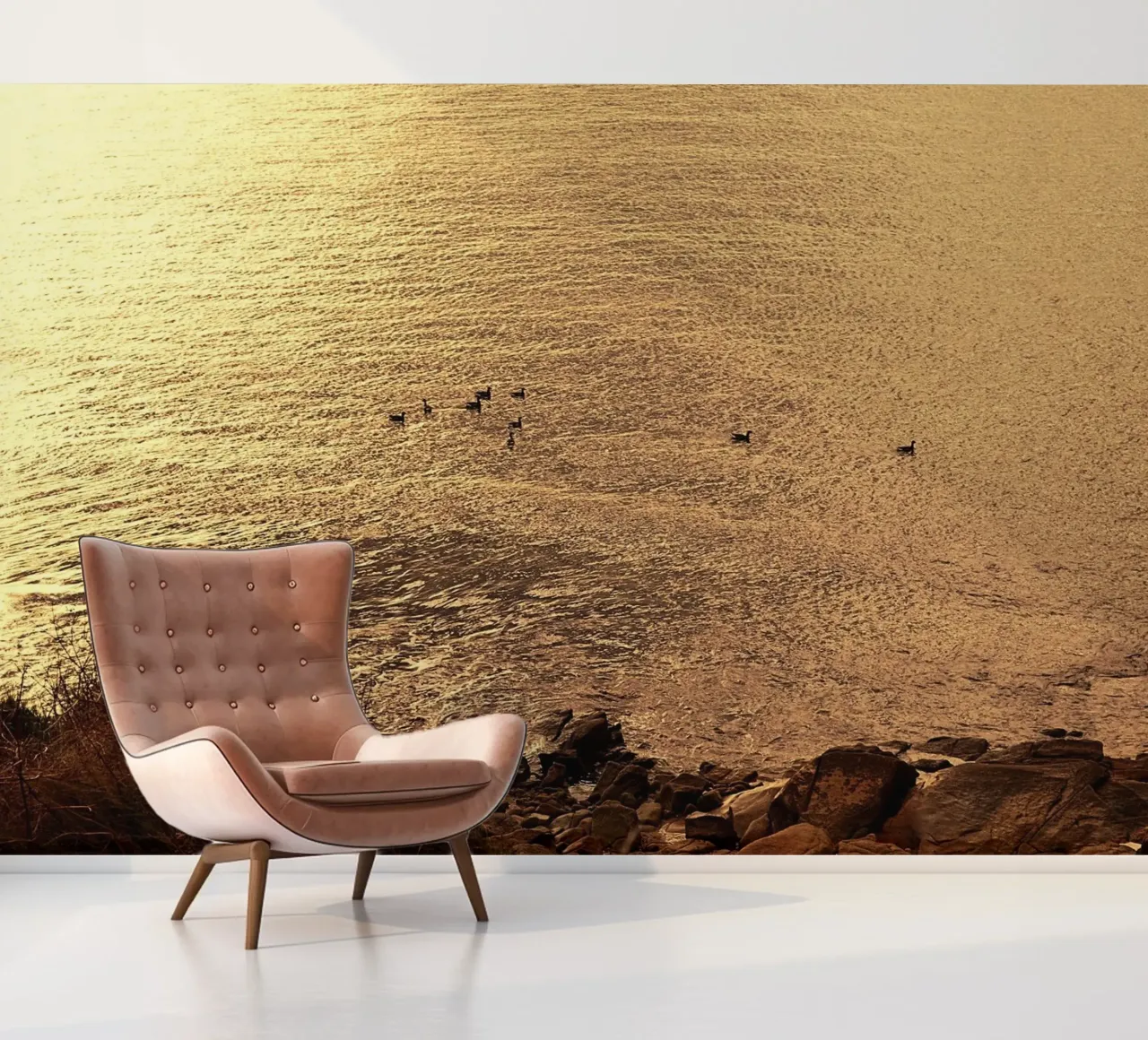 FAA266 LANDSCAPE OCEAN. GOLDEN LIGHT WITH SEAGULS. photo wallpaper by Thierry vobmann photography