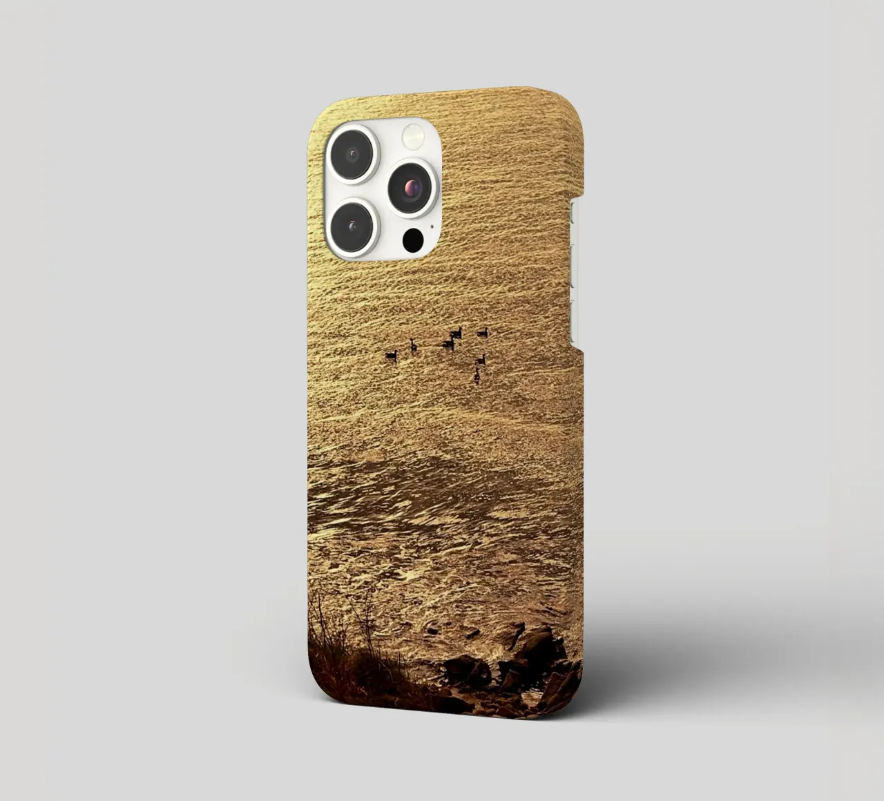 FAA266 LANDSCHAP OCEAAN. GOUDEN LICHT MET ZEEMEEUWEN. iphone hoesje van Thierry vobmann photography