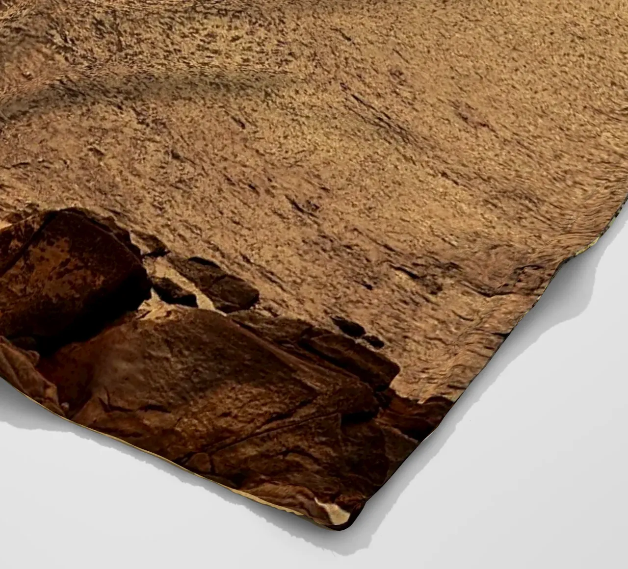 FAA266 LANDSCHAP OCEAAN. GOUDEN LICHT MET ZEEMEEUWEN. fleecedeken van Thierry vobmann photography