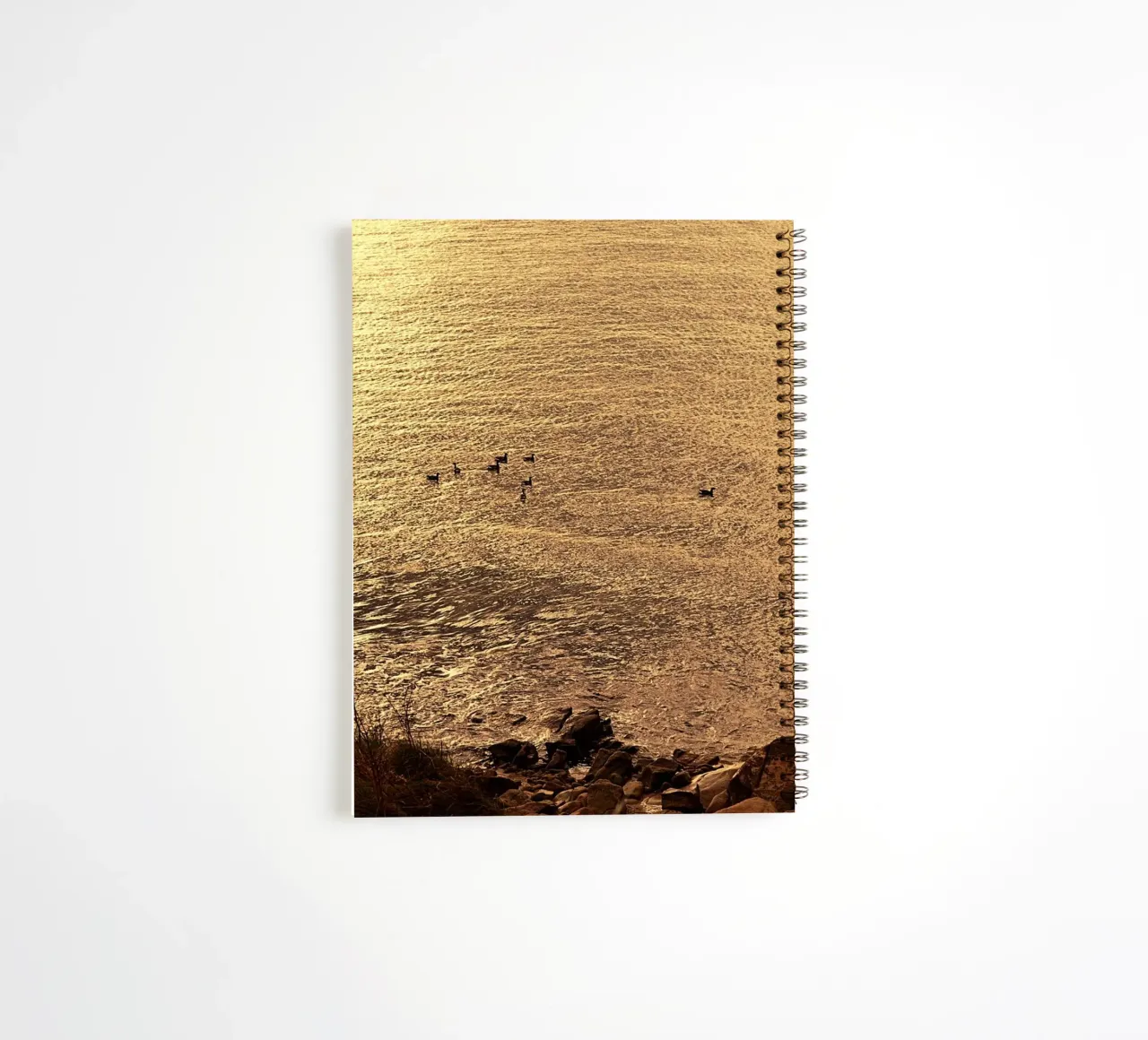 FAA266 LANDSCHAP OCEAAN. GOUDEN LICHT MET ZEEMEEUWEN. notitieboek met spiraal van Thierry vobmann photography
