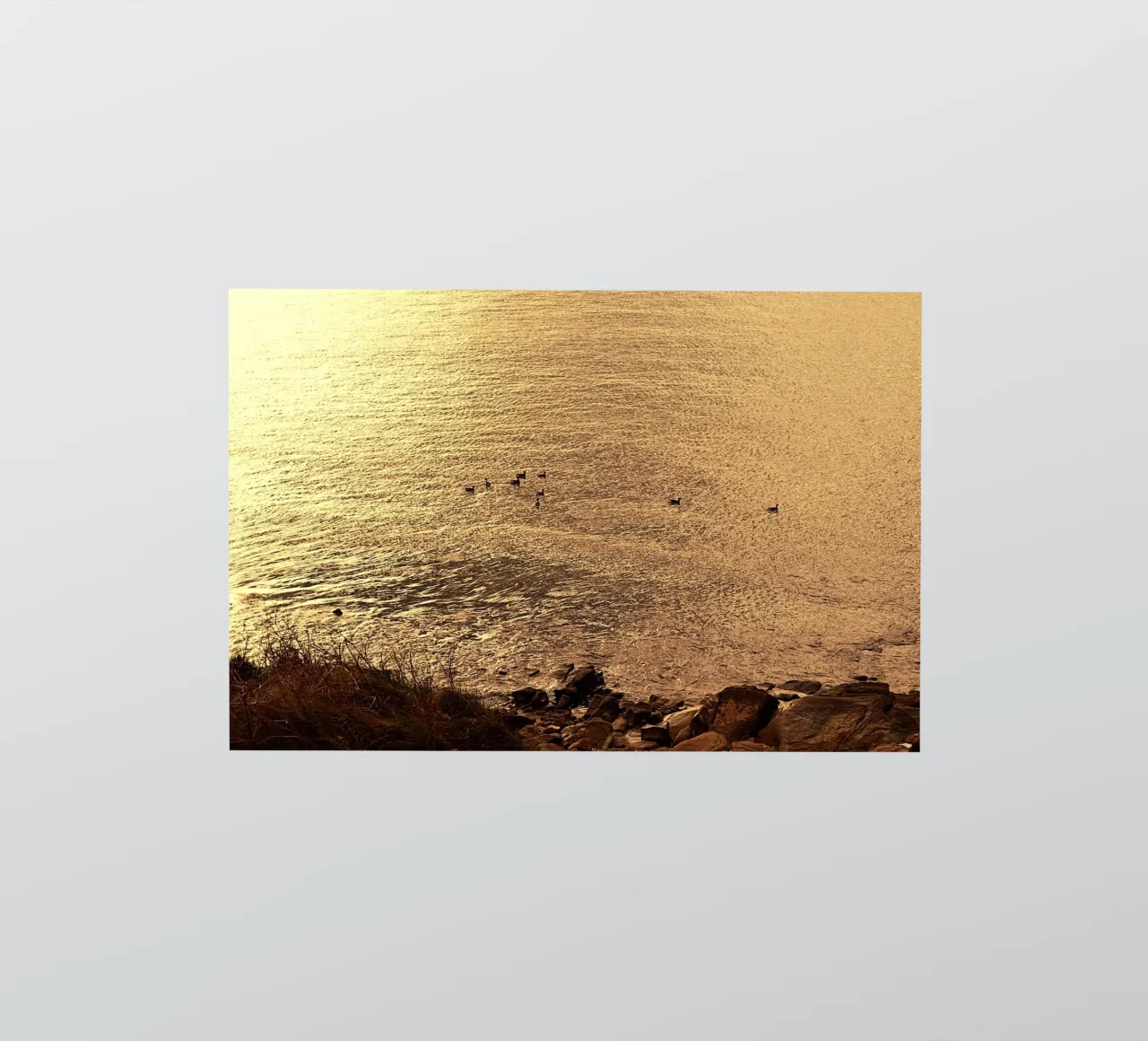 FAA266 LANDSCHAP OCEAAN. GOUDEN LICHT MET ZEEMEEUWEN. sticker van Thierry vobmann photography