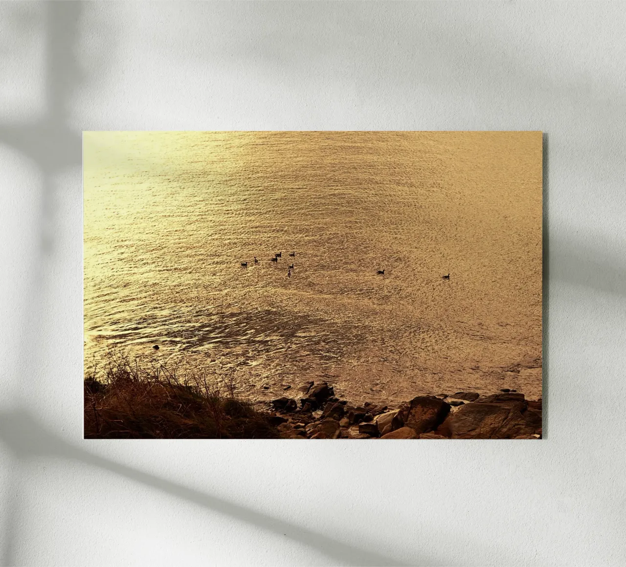 FAA266 LANDSCHAP OCEAAN. GOUDEN LICHT MET ZEEMEEUWEN. acryl van Thierry vobmann photography