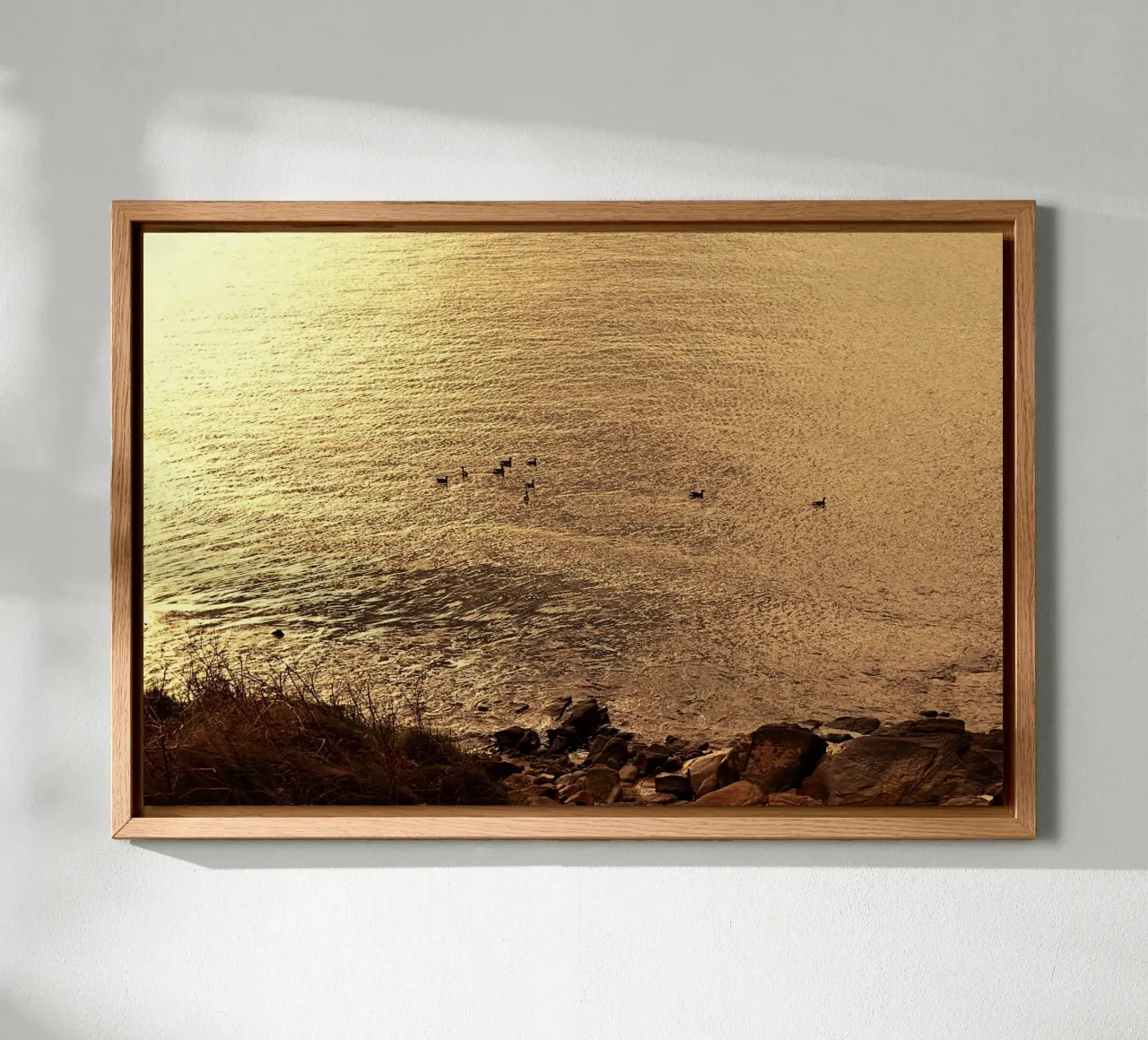 FAA266 LANDSCHAP OCEAAN. GOUDEN LICHT MET ZEEMEEUWEN. forex-plaat van Thierry vobmann photography