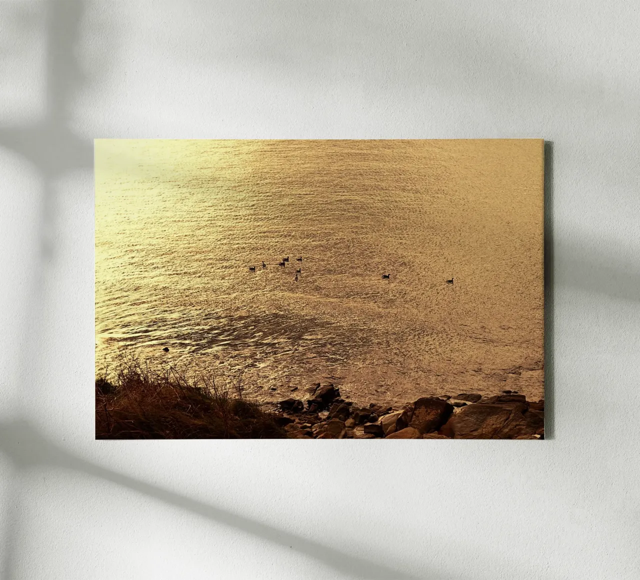 FAA266 LANDSCHAP OCEAAN. GOUDEN LICHT MET ZEEMEEUWEN. canvas van Thierry vobmann photography