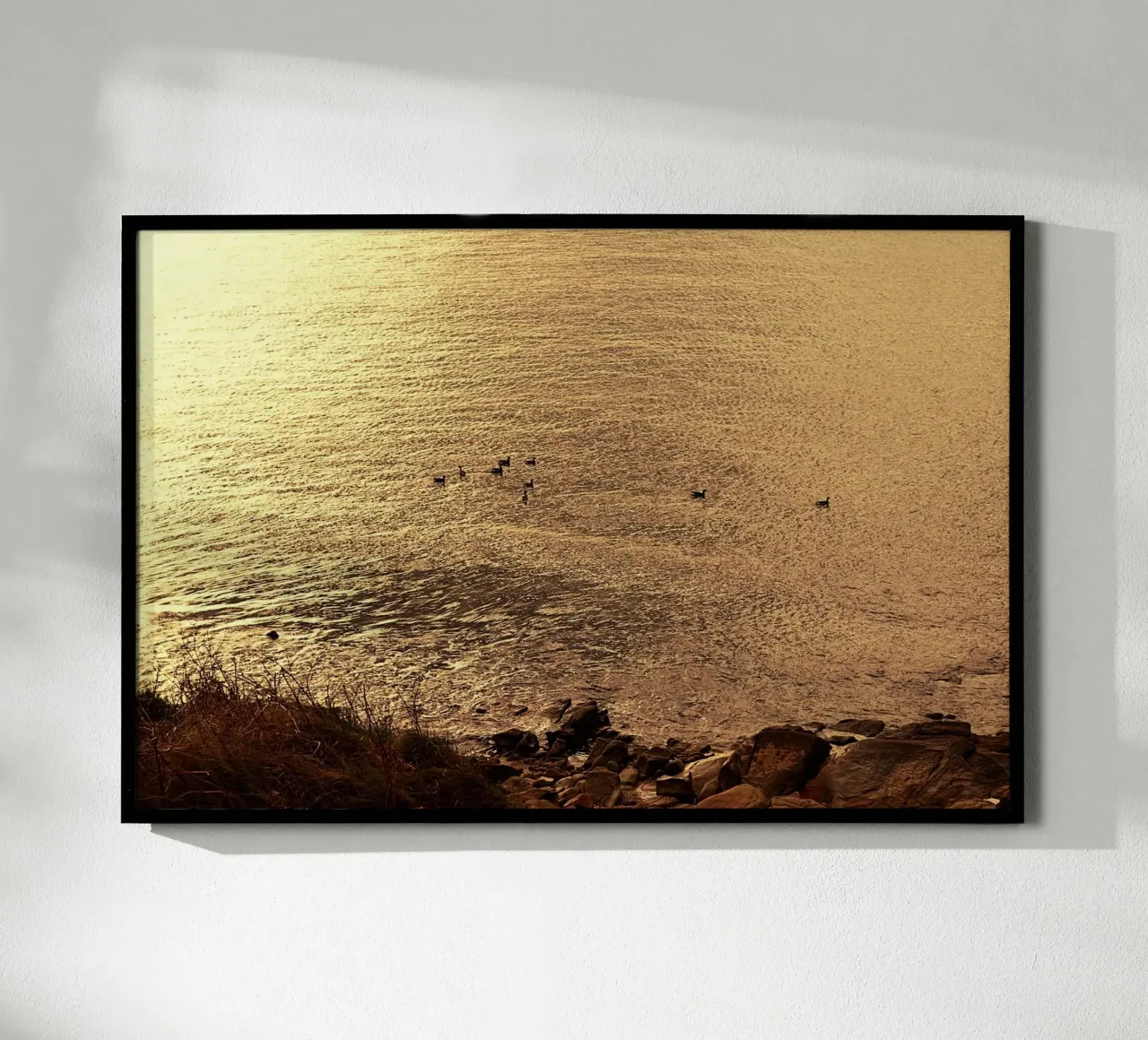 FAA266 LANDSCHAP OCEAAN. GOUDEN LICHT MET ZEEMEEUWEN. hahnemühle van Thierry vobmann photography