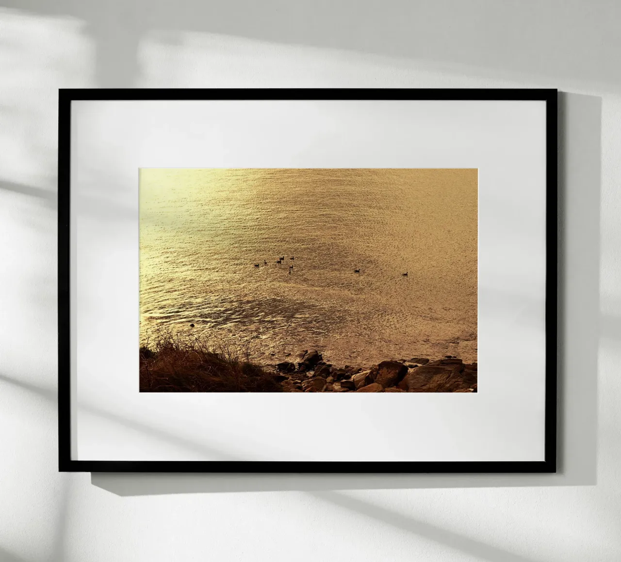 FAA266 LANDSCHAP OCEAAN. GOUDEN LICHT MET ZEEMEEUWEN. hahnemühle van Thierry vobmann photography