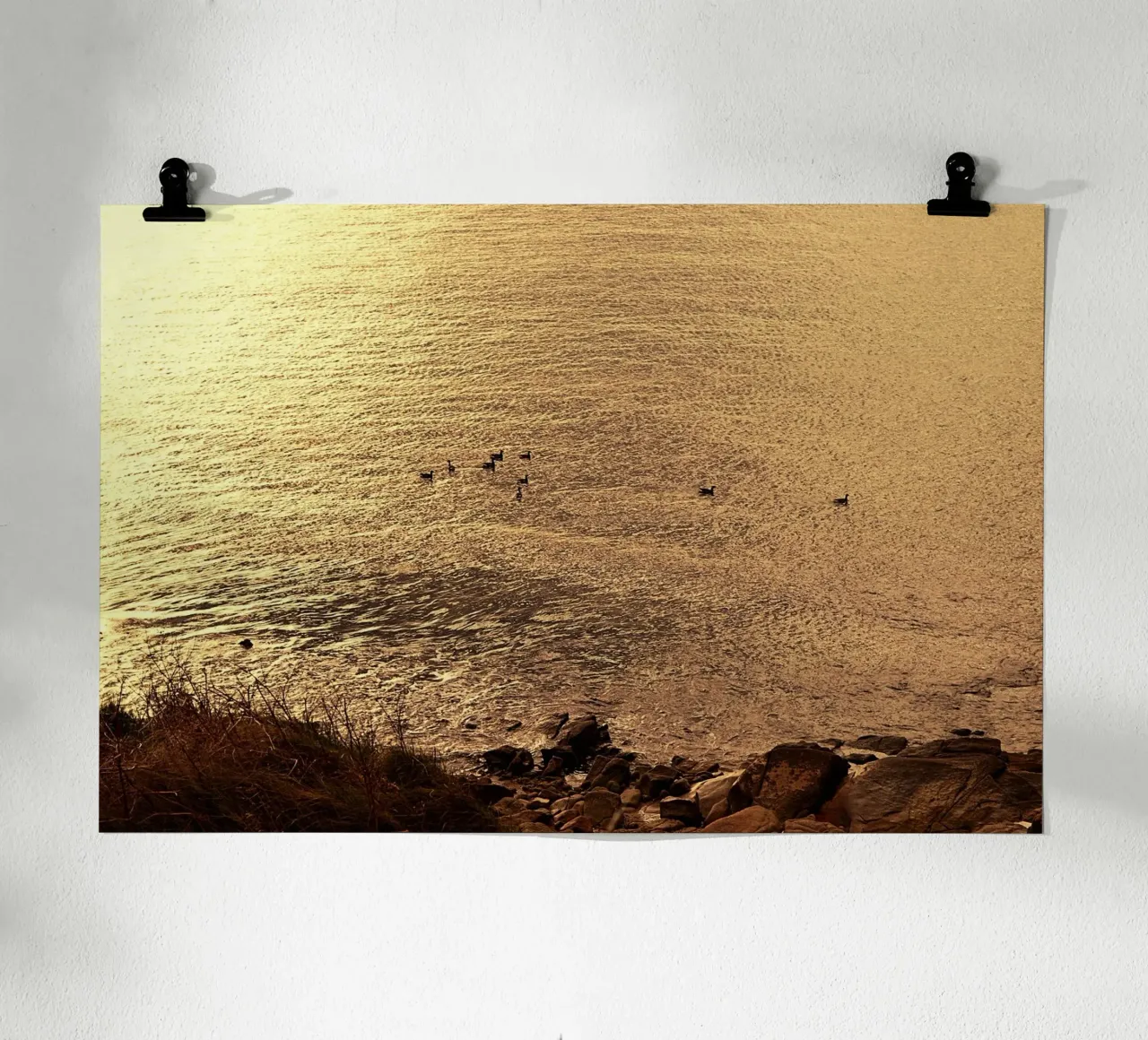 FAA266 LANDSCHAP OCEAAN. GOUDEN LICHT MET ZEEMEEUWEN. hahnemühle van Thierry vobmann photography