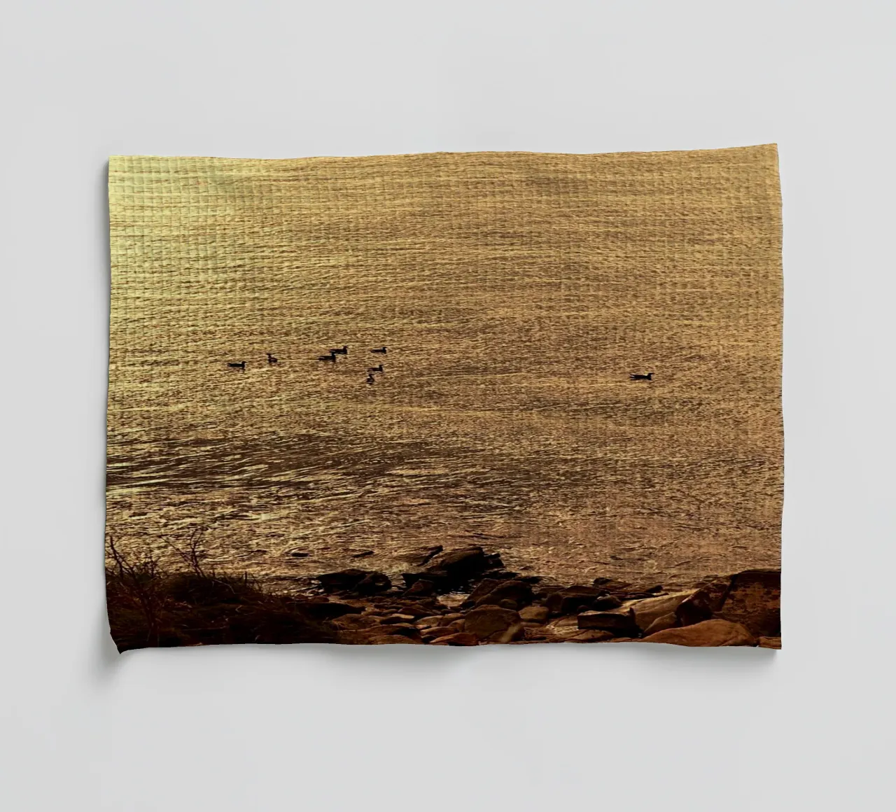 FAA266 PAYSAGE OCÉAN. LUMIÈRE DORÉE AVEC DES MOUETTES. torchon de Thierry vobmann photography