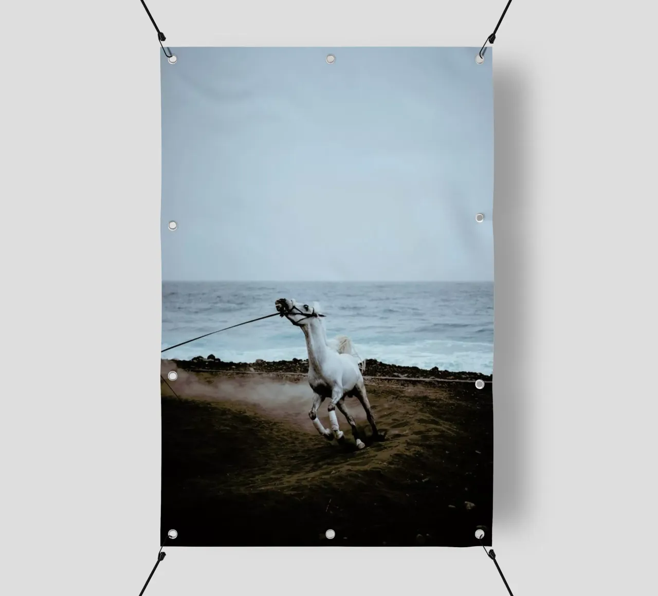 Whinnying by @miniloc telo in pvc da EyeEm Mobile GmbH