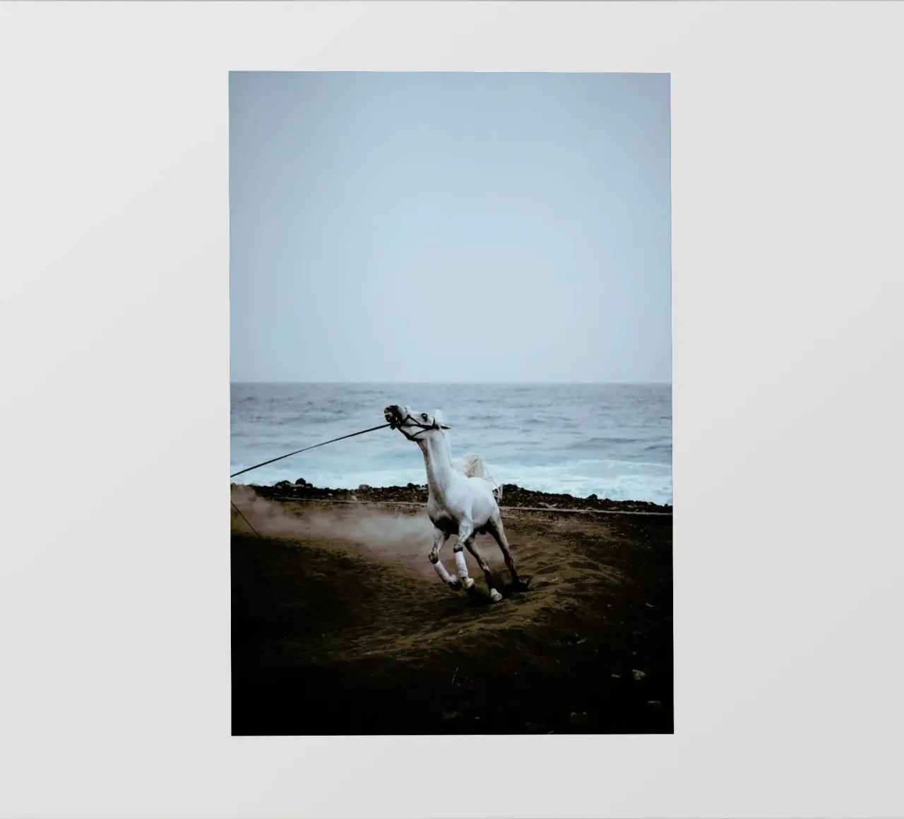 Whinnying by @miniloc telo in pvc da EyeEm Mobile GmbH