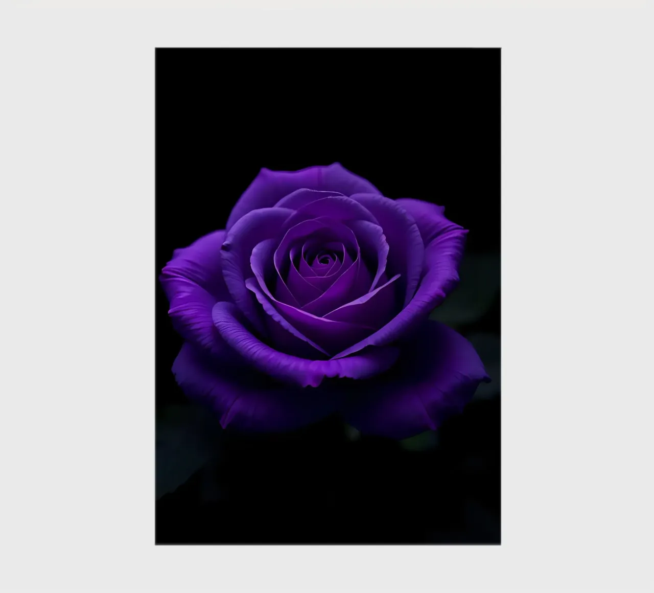 Rose_purple_01 notebook by Farb- und Blütenzauber by LK
