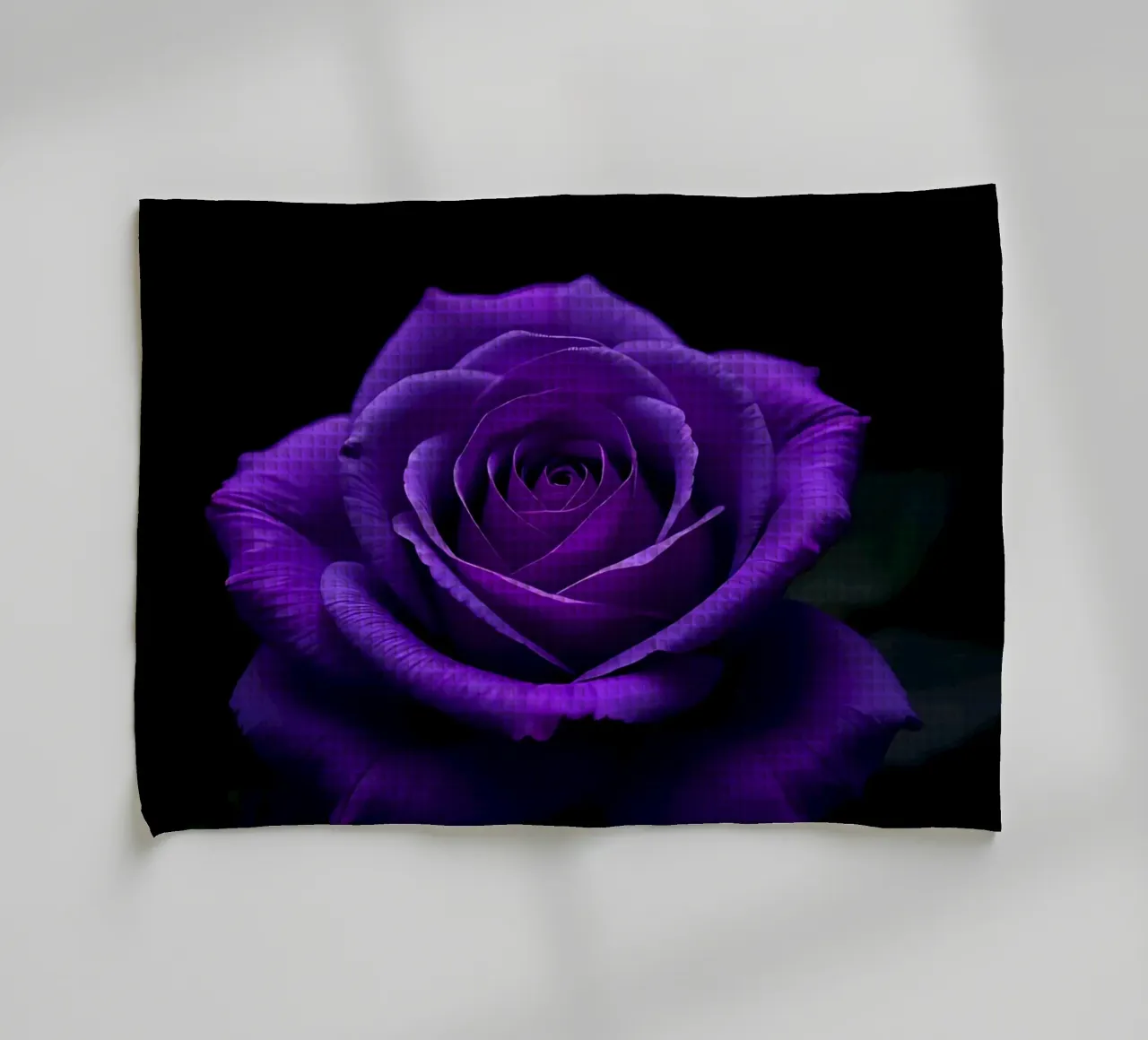 Rosa_viola_01 canovaccio da cucina da Farb- und Blütenzauber by LK