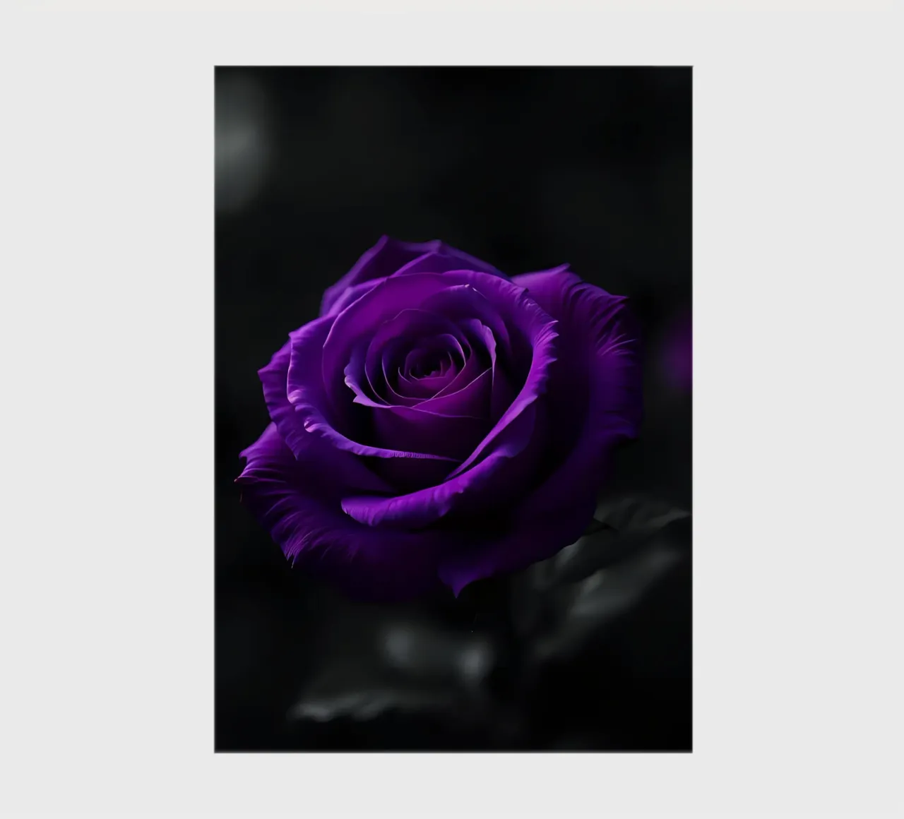 Rose_purple_02 notebook by Farb- und Blütenzauber by LK