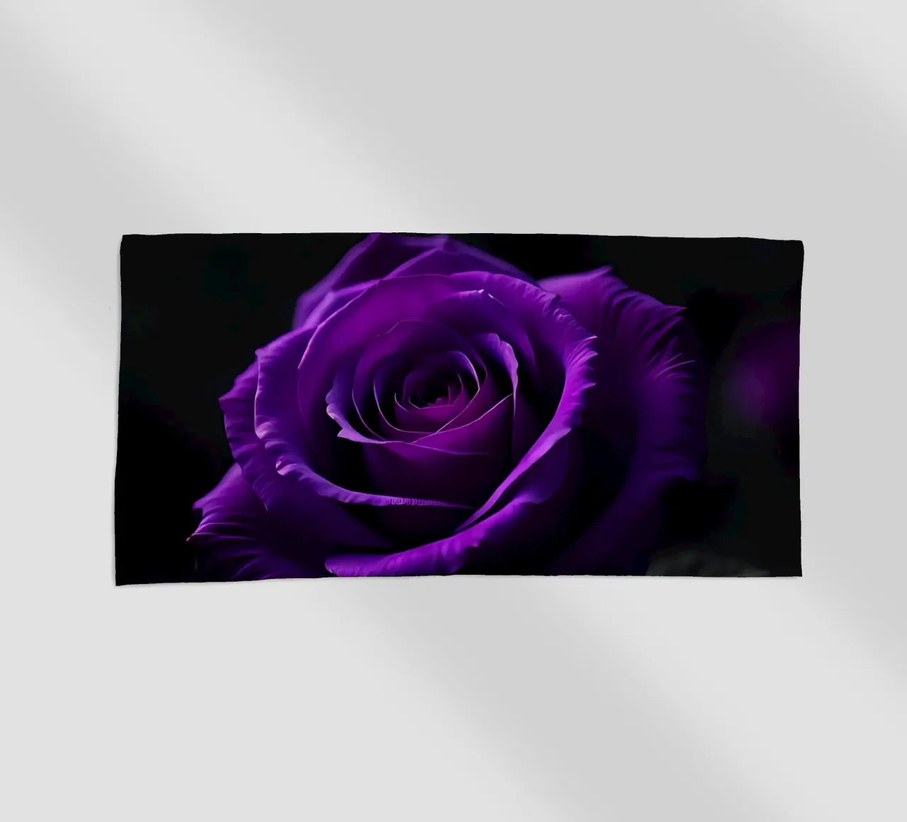 Rosa_viola_02 telo mare da Farb- und Blütenzauber by LK
