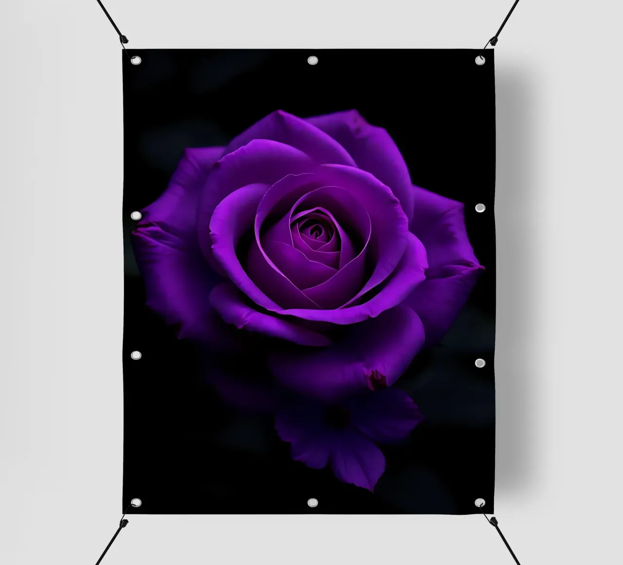 Rosa_viola_03 telo in pvc da Farb- und Blütenzauber by LK