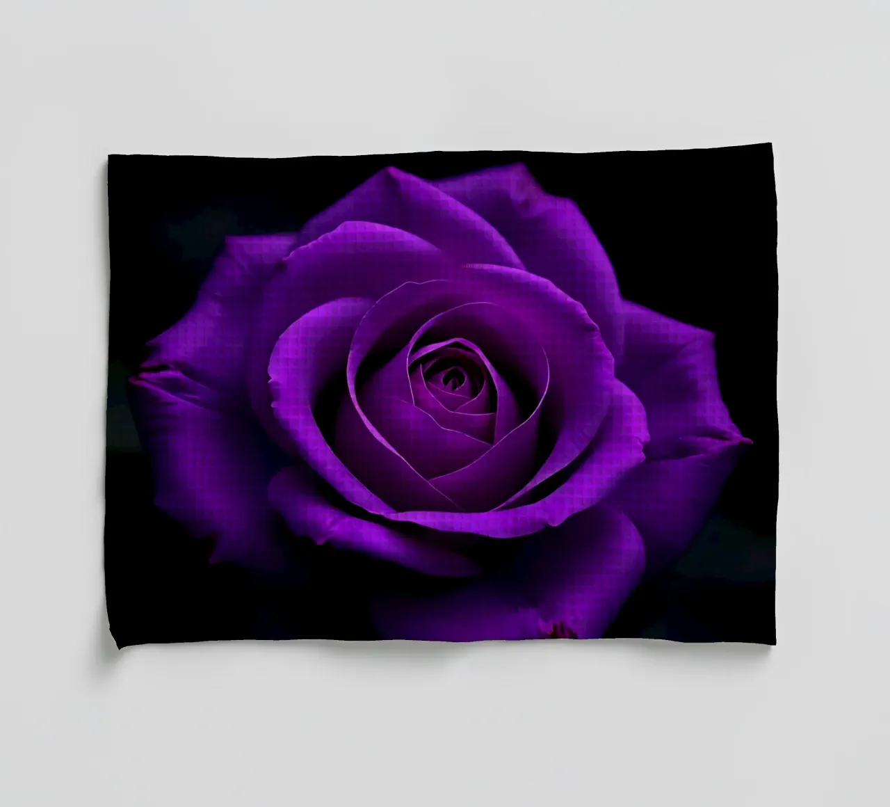 Rosa_viola_03 canovaccio da cucina da Farb- und Blütenzauber by LK