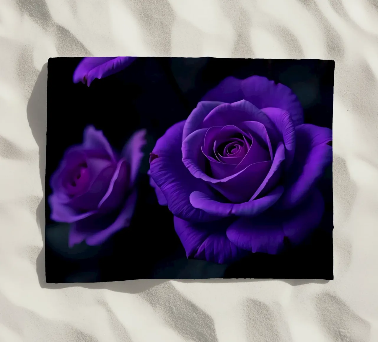 Rosa_viola_04 telo mare da Farb- und Blütenzauber by LK