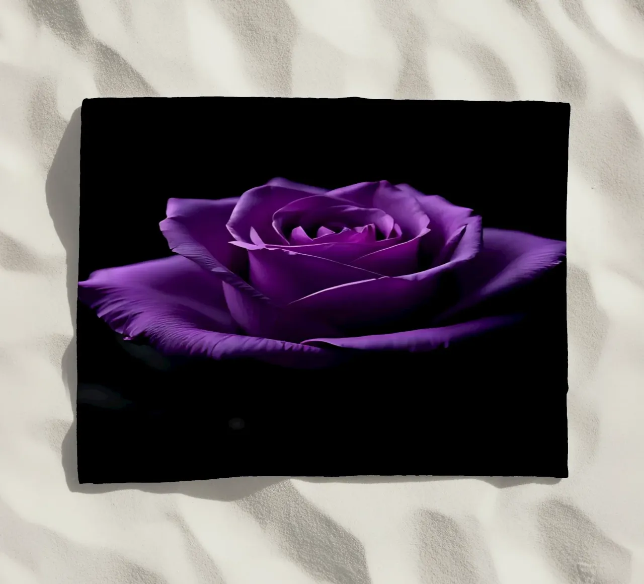 Rosa_viola_05 telo mare da Farb- und Blütenzauber by LK