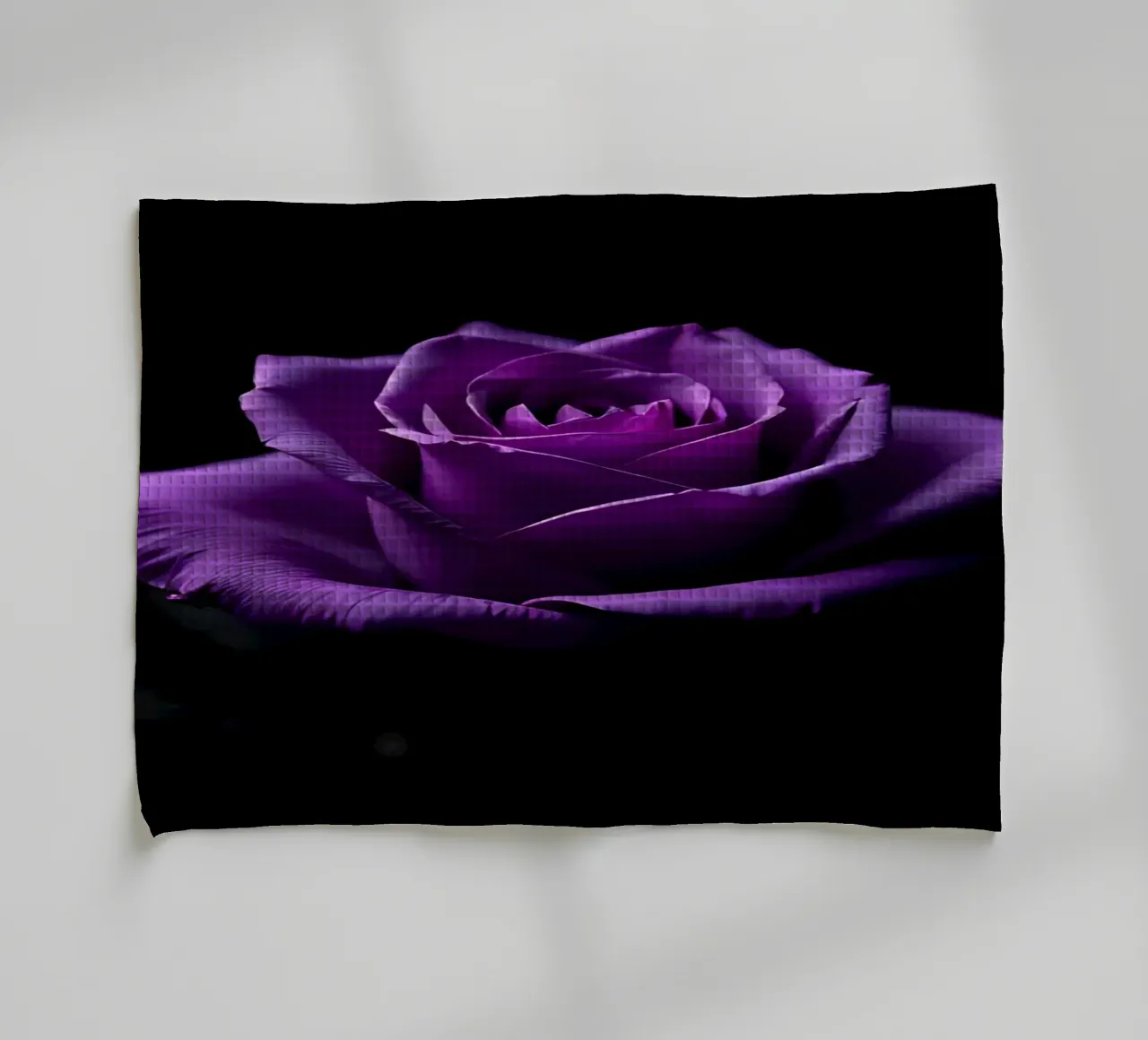 Rosa_viola_05 canovaccio da cucina da Farb- und Blütenzauber by LK