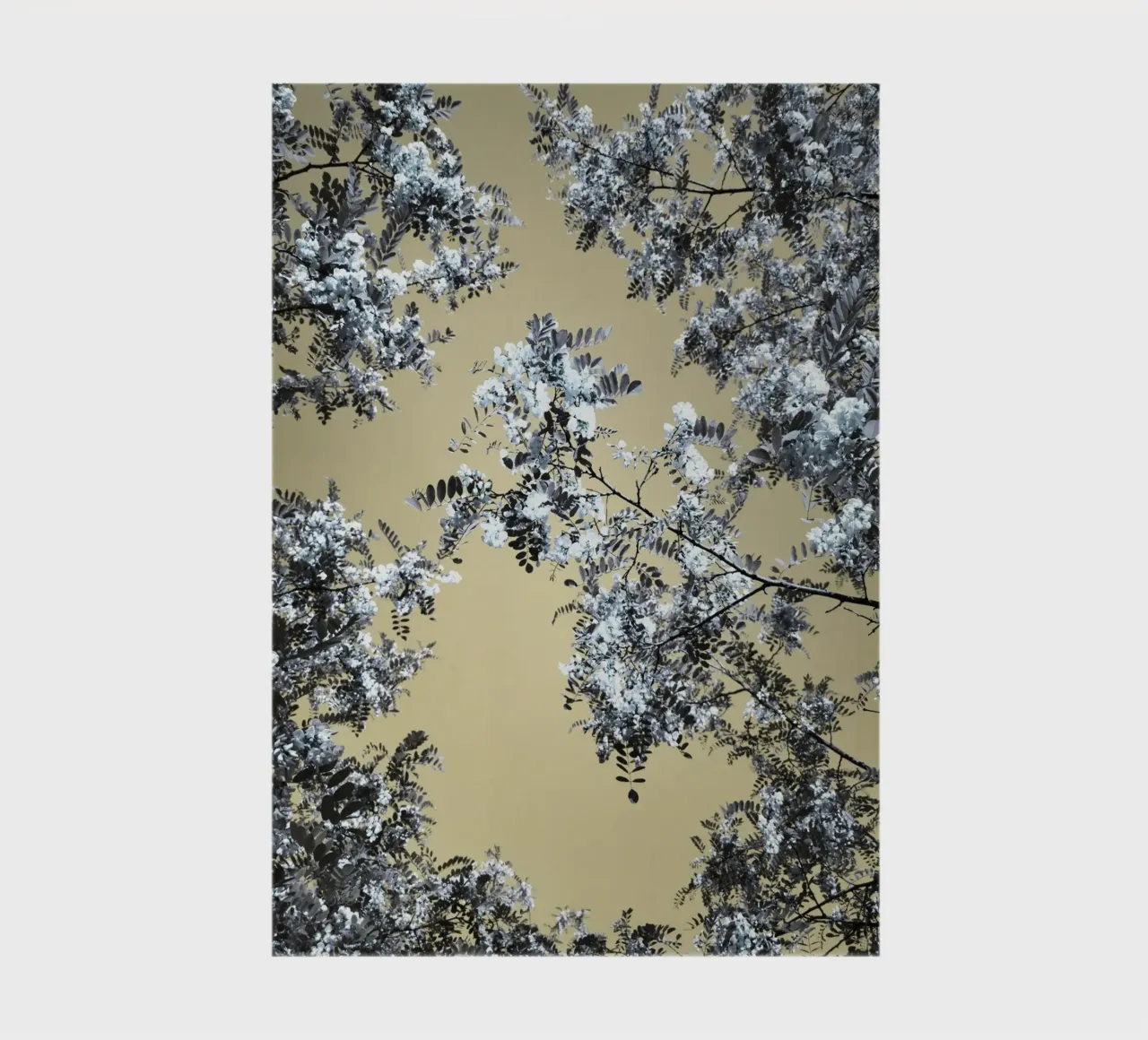Blossoming (1) notebook by Angelo Cerantola