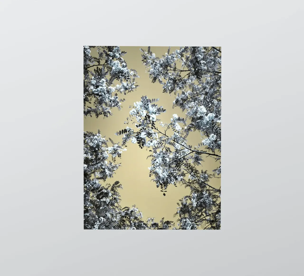 Blossoming (1) sticker by Angelo Cerantola
