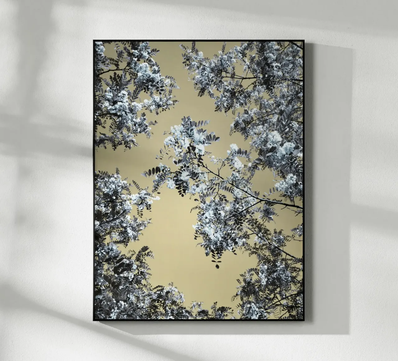 Blossoming (1) plexiglass da Angelo Cerantola