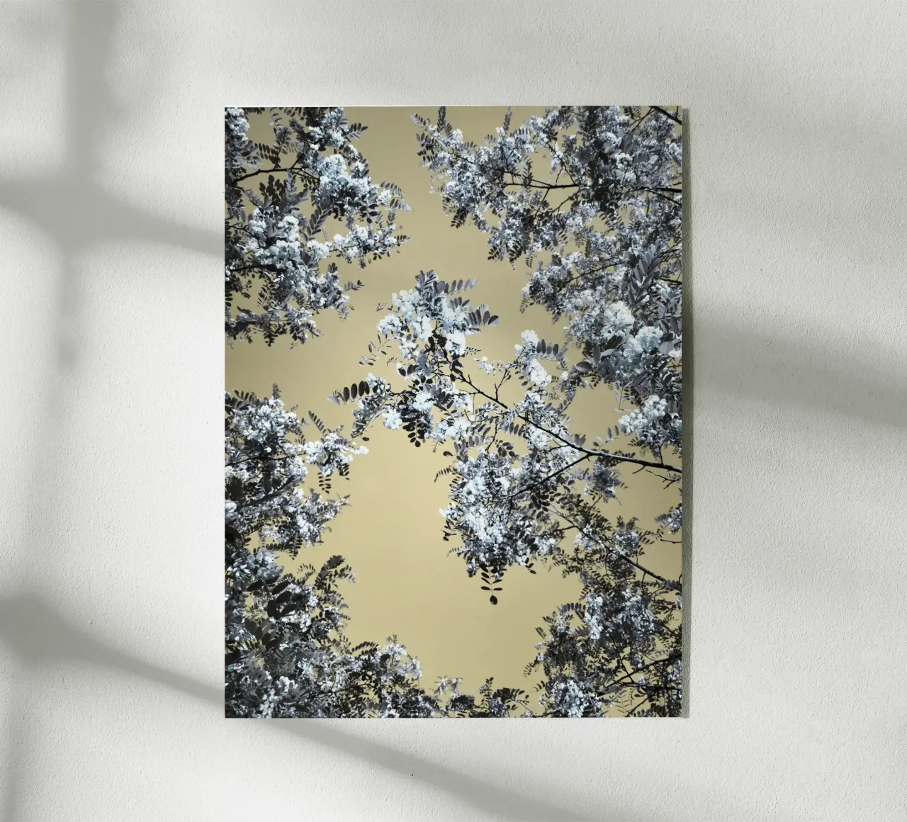 Blossoming (1) plexiglass da Angelo Cerantola