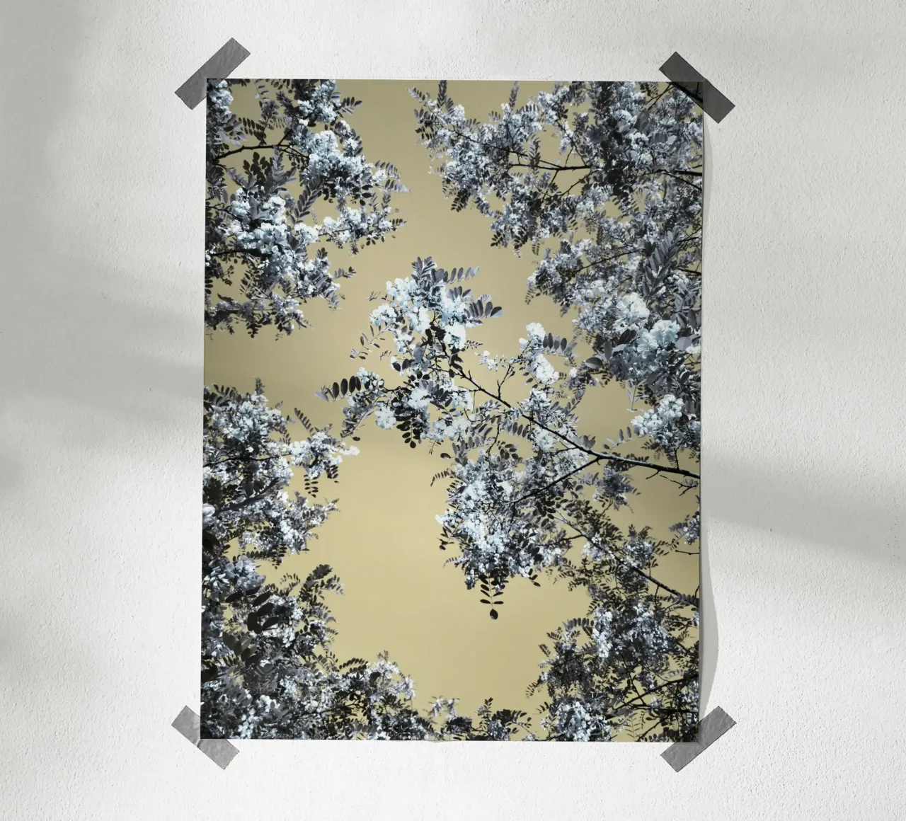 Blossoming (1) Hahnemühle von Angelo Cerantola