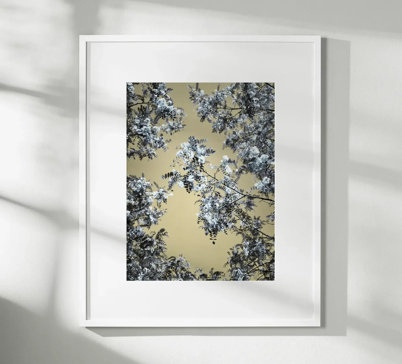 Blossoming (1) Hahnemühle von Angelo Cerantola