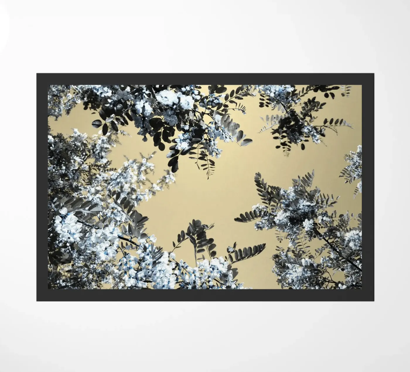 Blossoming (2) zerbino da Angelo Cerantola