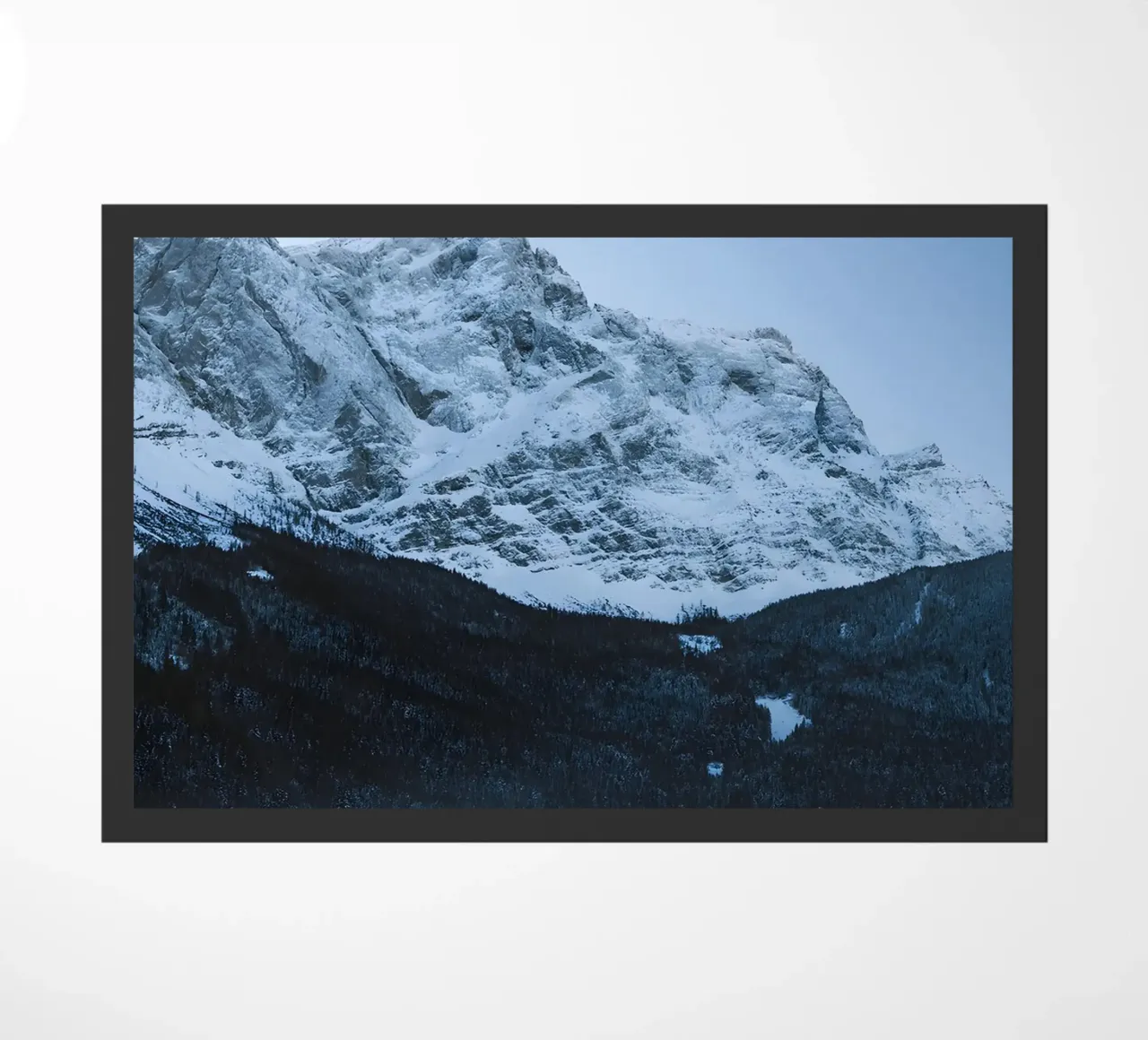 Onda zerbino da Aara