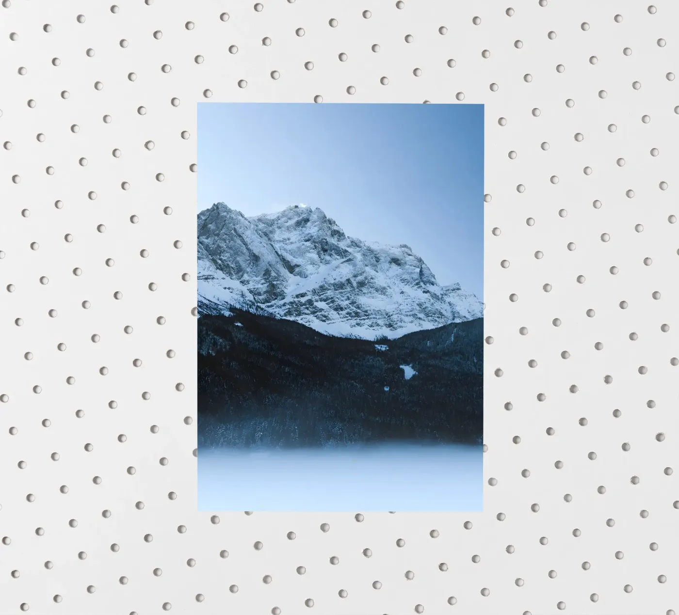 Onda adesivo da Aara