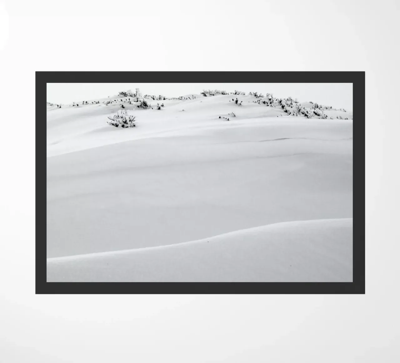 Dirft II zerbino da Victoria Frost