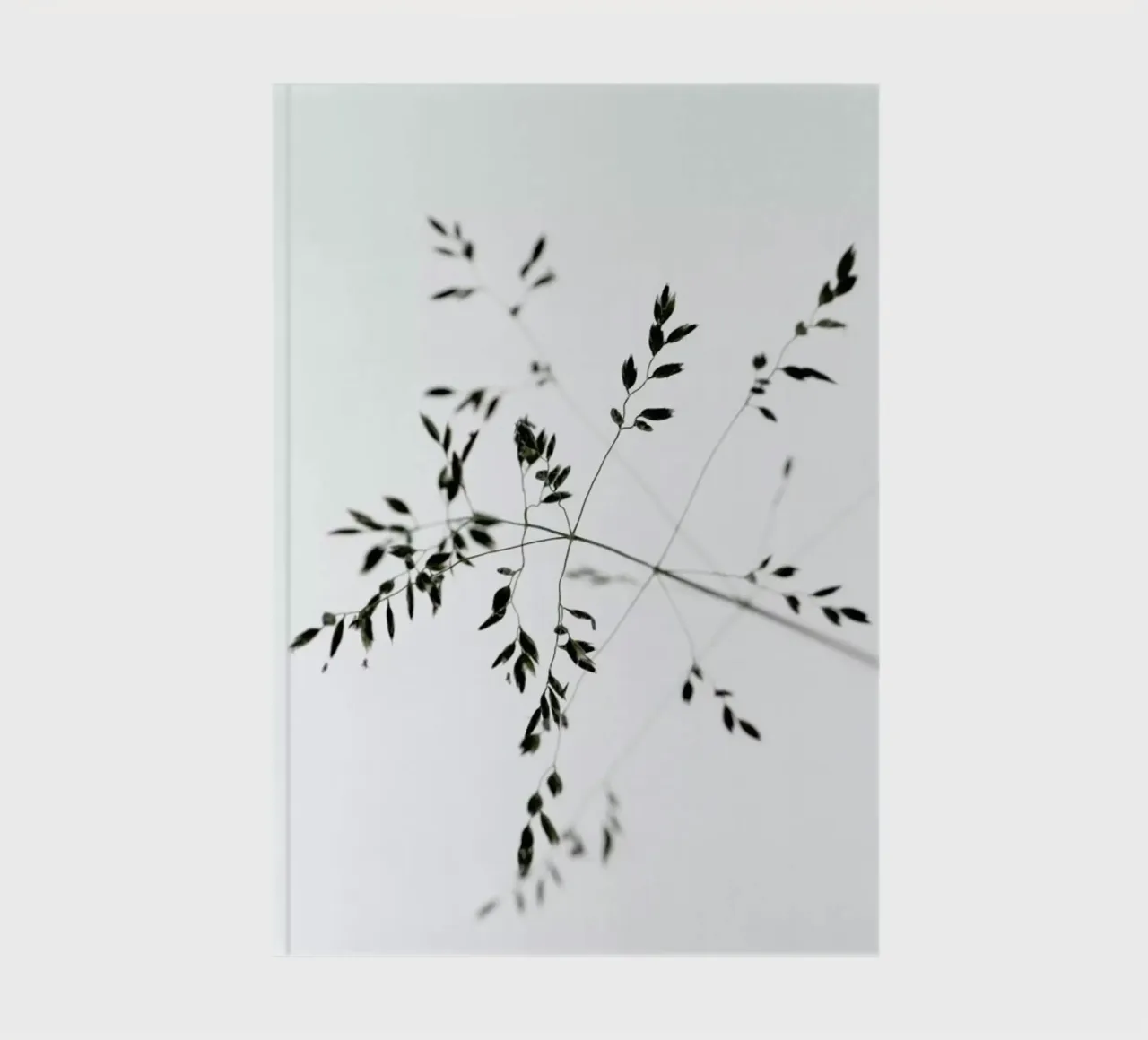 A Delicate Moment notebook by Studio Nahili