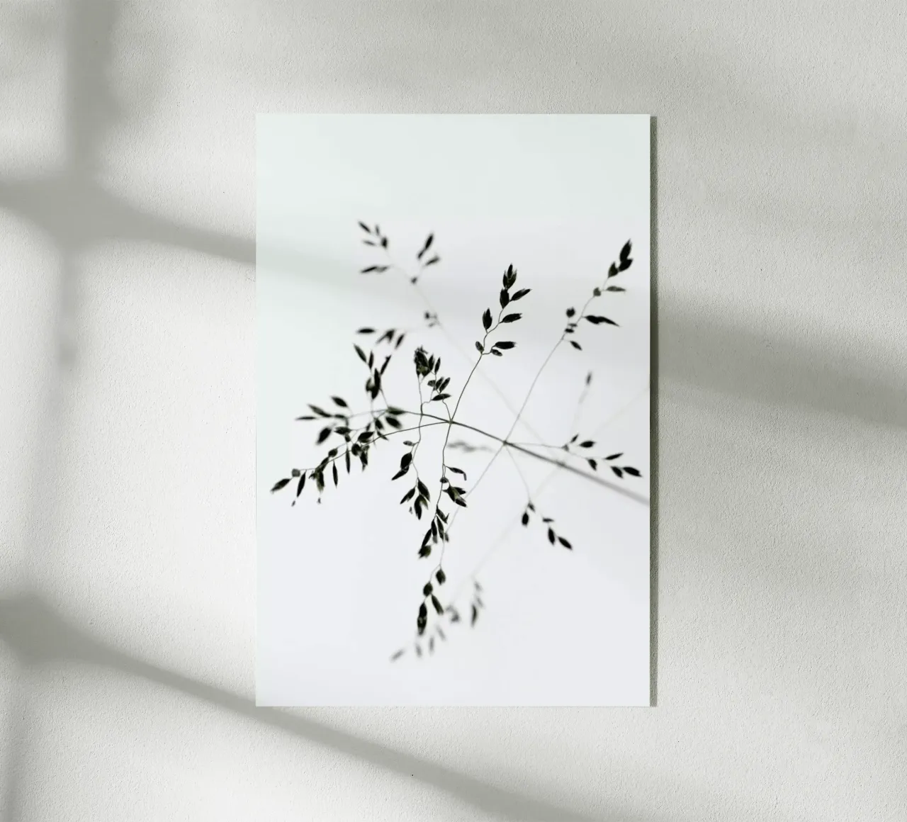 A Delicate Moment plexiglass da Studio Nahili