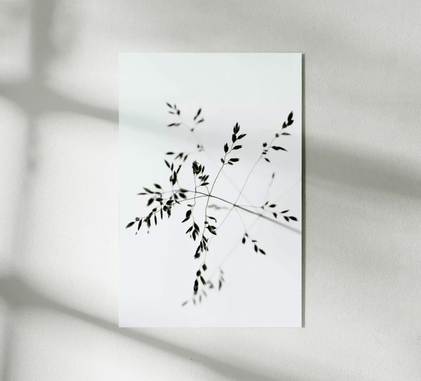 A Delicate Moment plexiglass da Studio Nahili