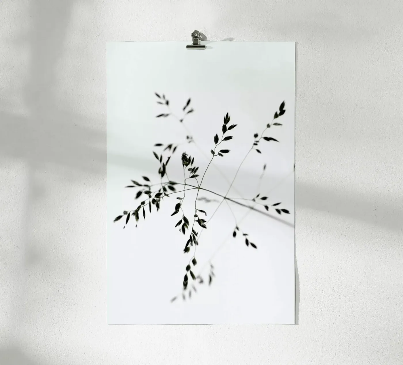 A Delicate Moment poster da Studio Nahili