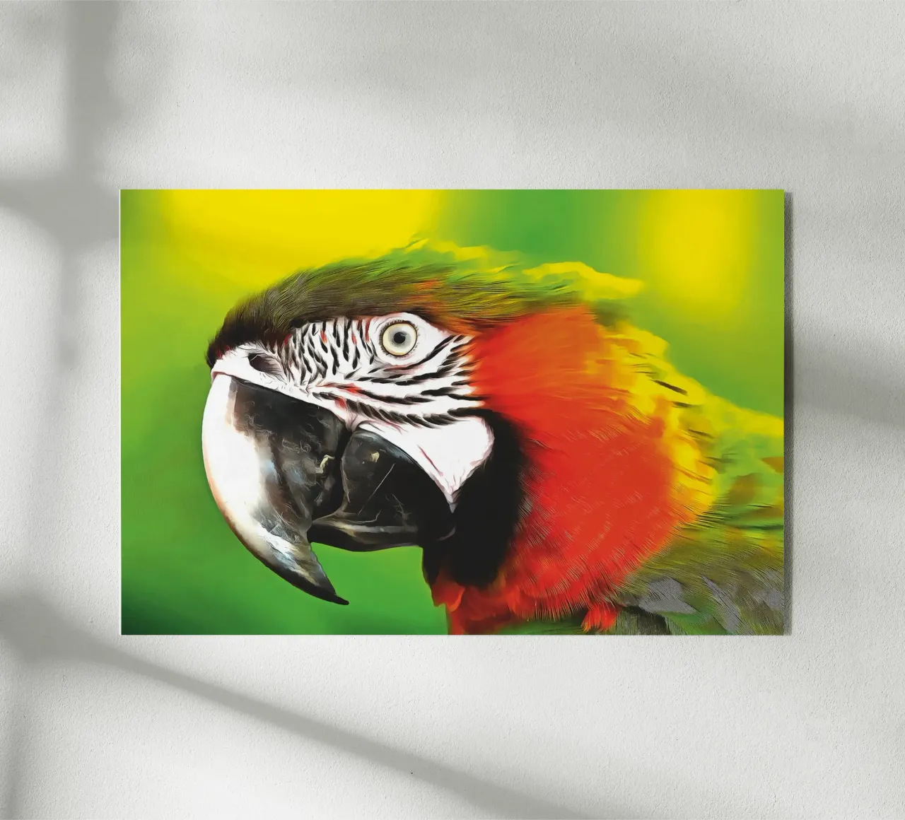 el loro de colores metacrilato de Fred-Graph